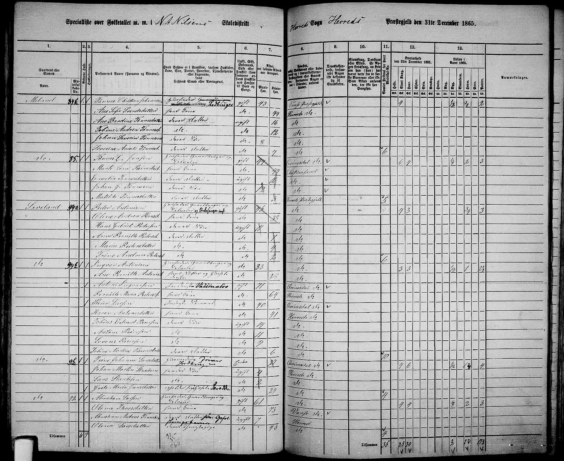 RA, 1865 census for Herad, 1865, p. 36