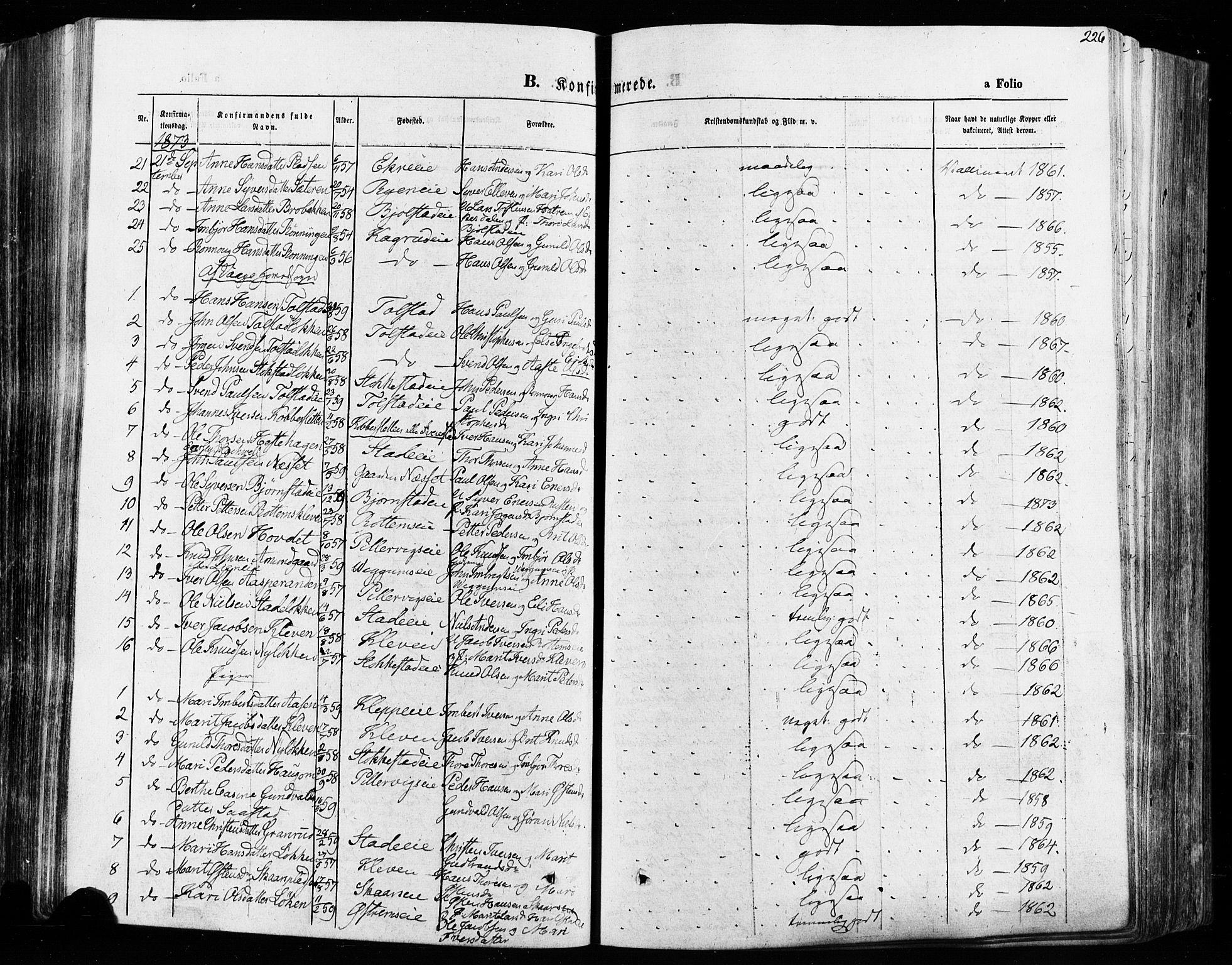 Vågå prestekontor, AV/SAH-PREST-076/H/Ha/Haa/L0007: Parish register (official) no. 7 /1, 1872-1886, p. 226