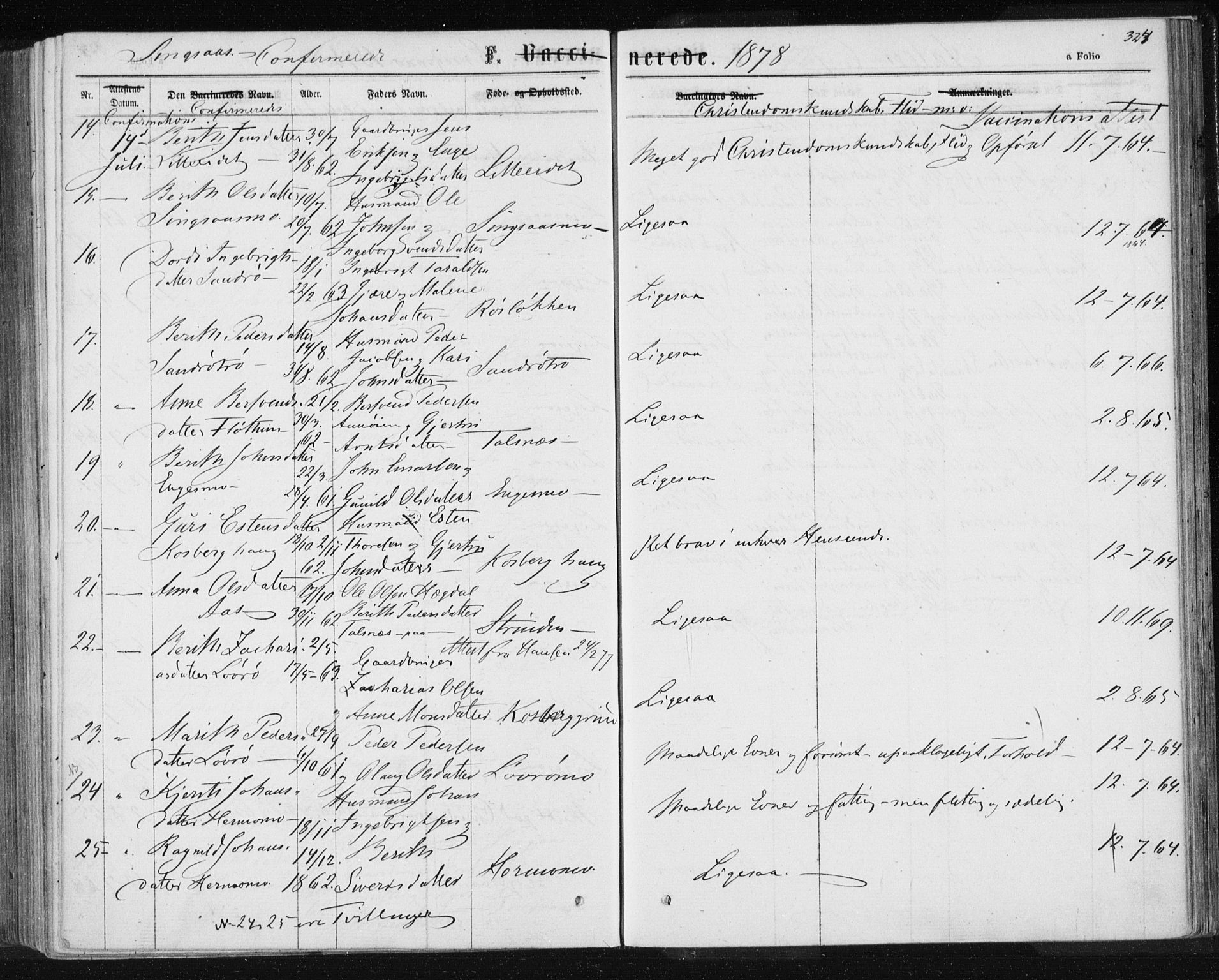 Ministerialprotokoller, klokkerbøker og fødselsregistre - Sør-Trøndelag, AV/SAT-A-1456/685/L0970: Parish register (official) no. 685A08 /2, 1870-1878, p. 324