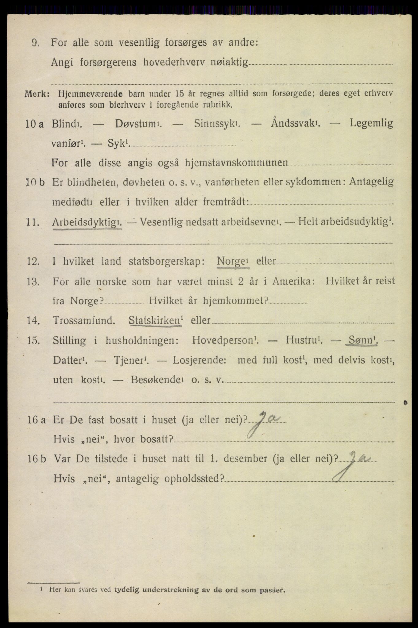 SAH, 1920 census for Brandval, 1920, p. 7295