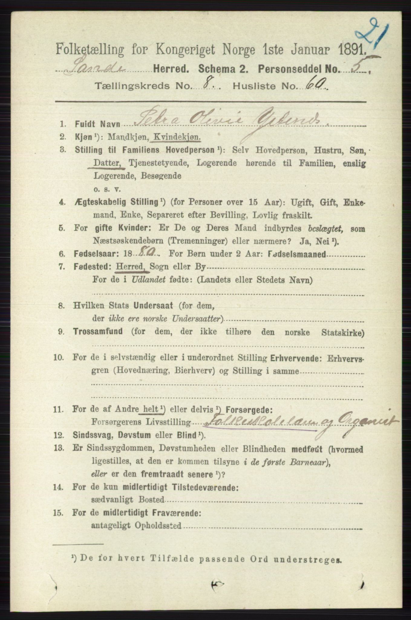 RA, 1891 census for 0713 Sande, 1891, p. 3838