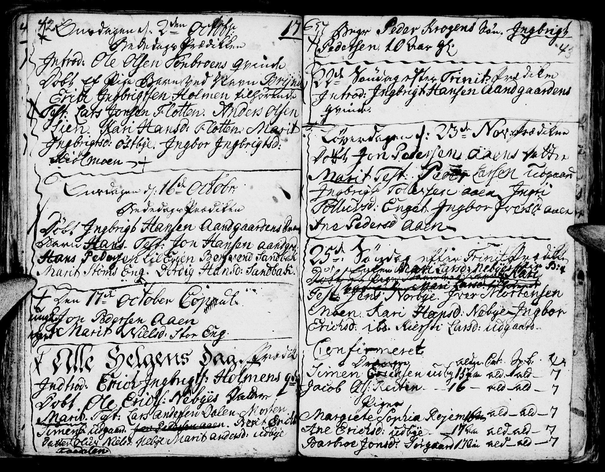 Tynset prestekontor, AV/SAH-PREST-058/H/Ha/Haa/L0006: Parish register (official) no. 6, 1763-1779, p. 42-43