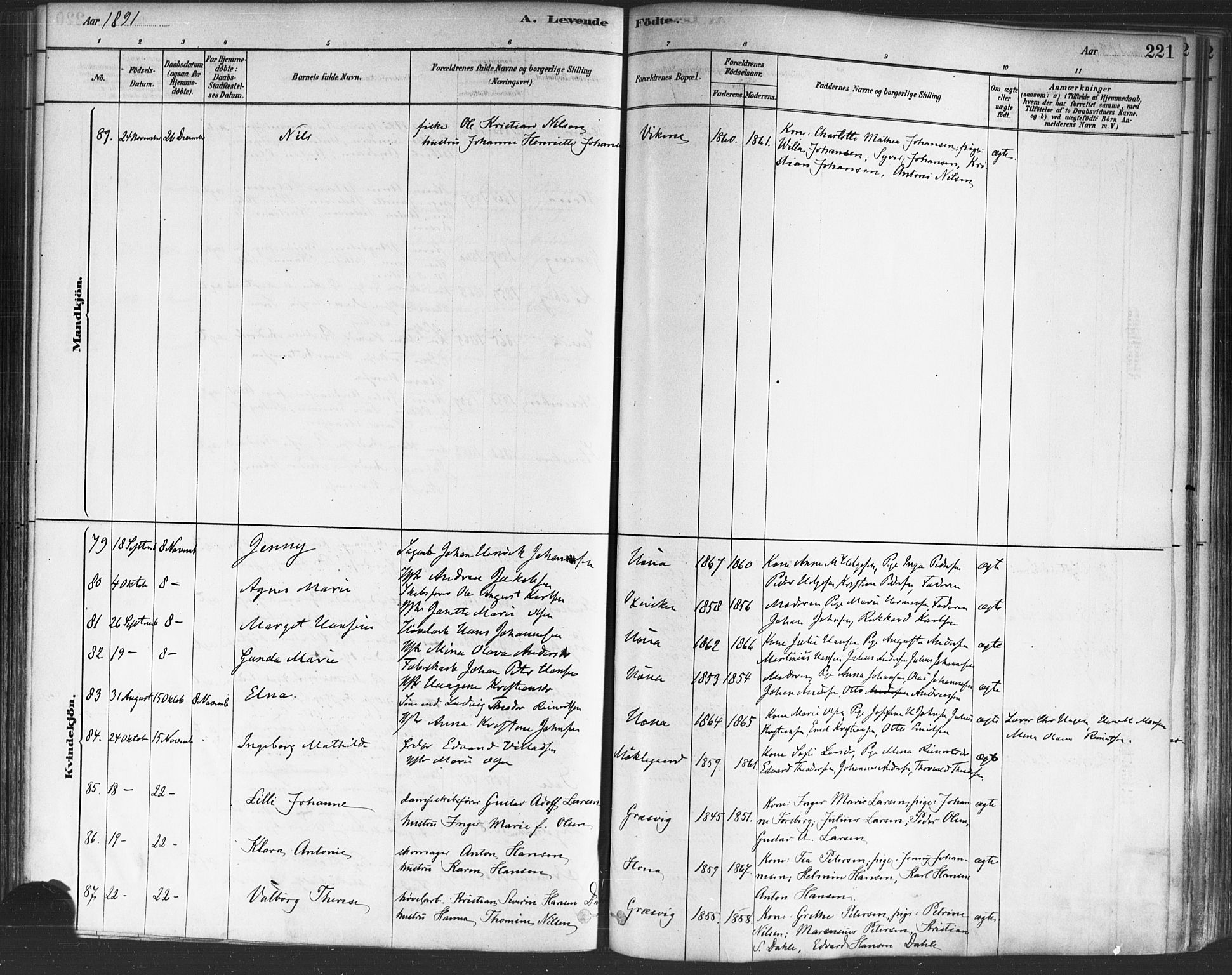 Onsøy prestekontor Kirkebøker, AV/SAO-A-10914/F/Fa/L0005: Parish register (official) no. I 5, 1878-1898, p. 221