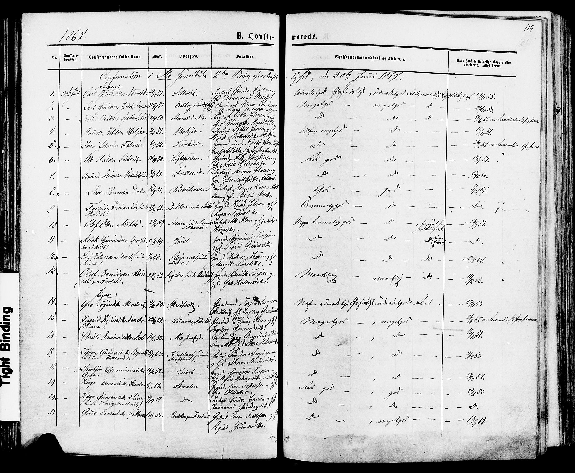 Mo kirkebøker, SAKO/A-286/F/Fa/L0006: Parish register (official) no. I 6, 1865-1885, p. 114