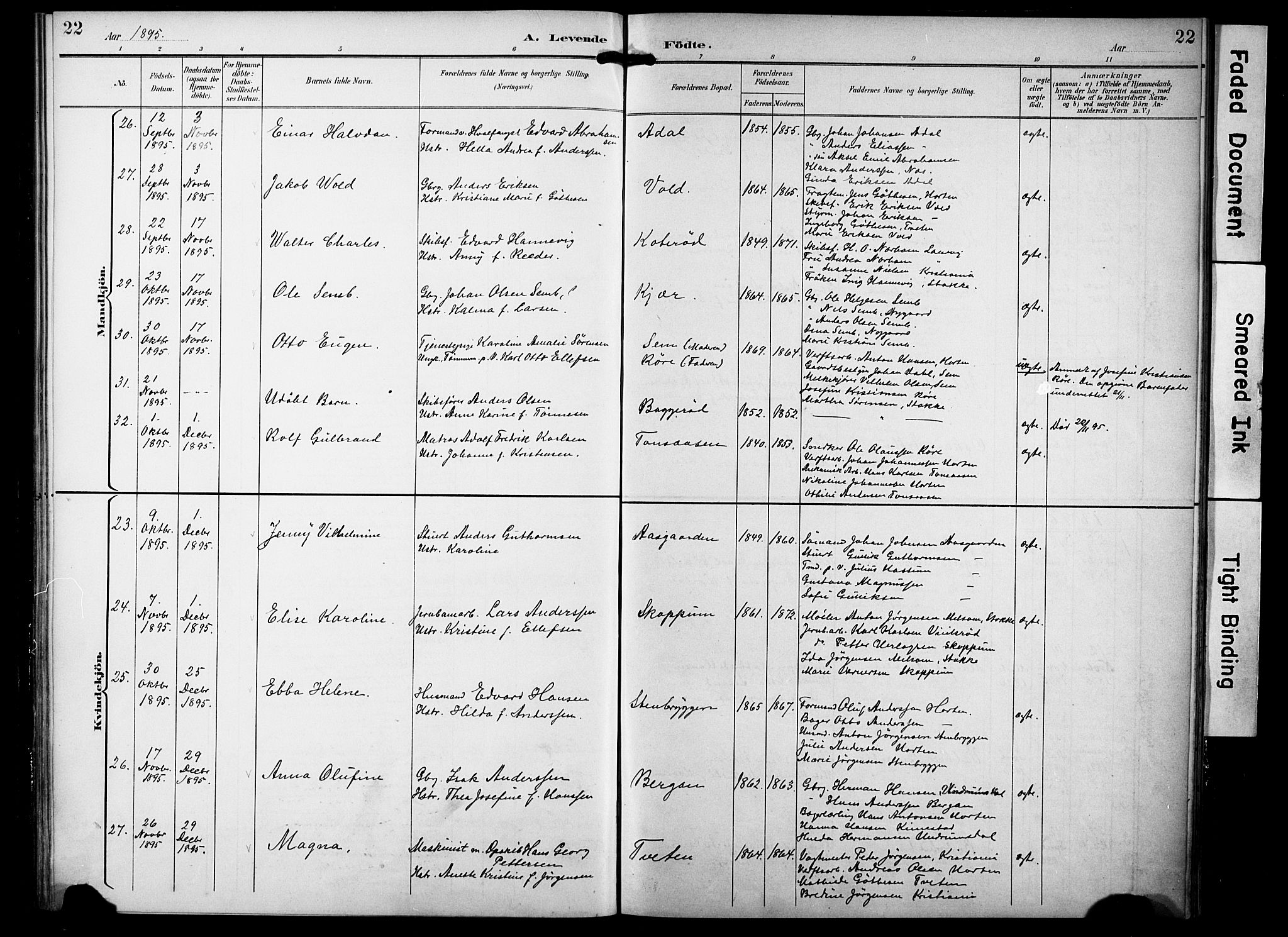 Borre kirkebøker, SAKO/A-338/F/Fa/L0010: Parish register (official) no. I 10, 1892-1896, p. 22