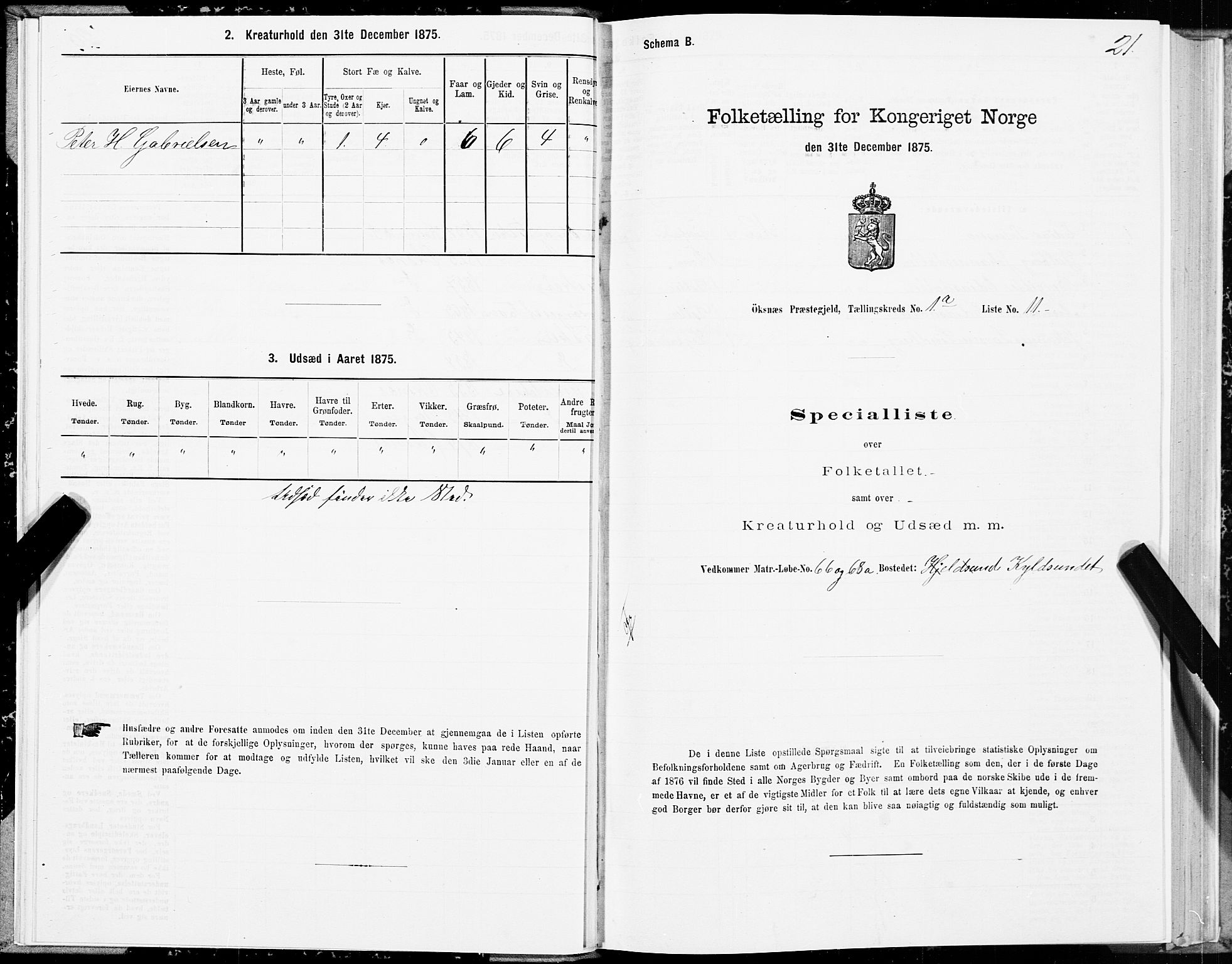 SAT, 1875 census for 1868P Øksnes, 1875, p. 1021