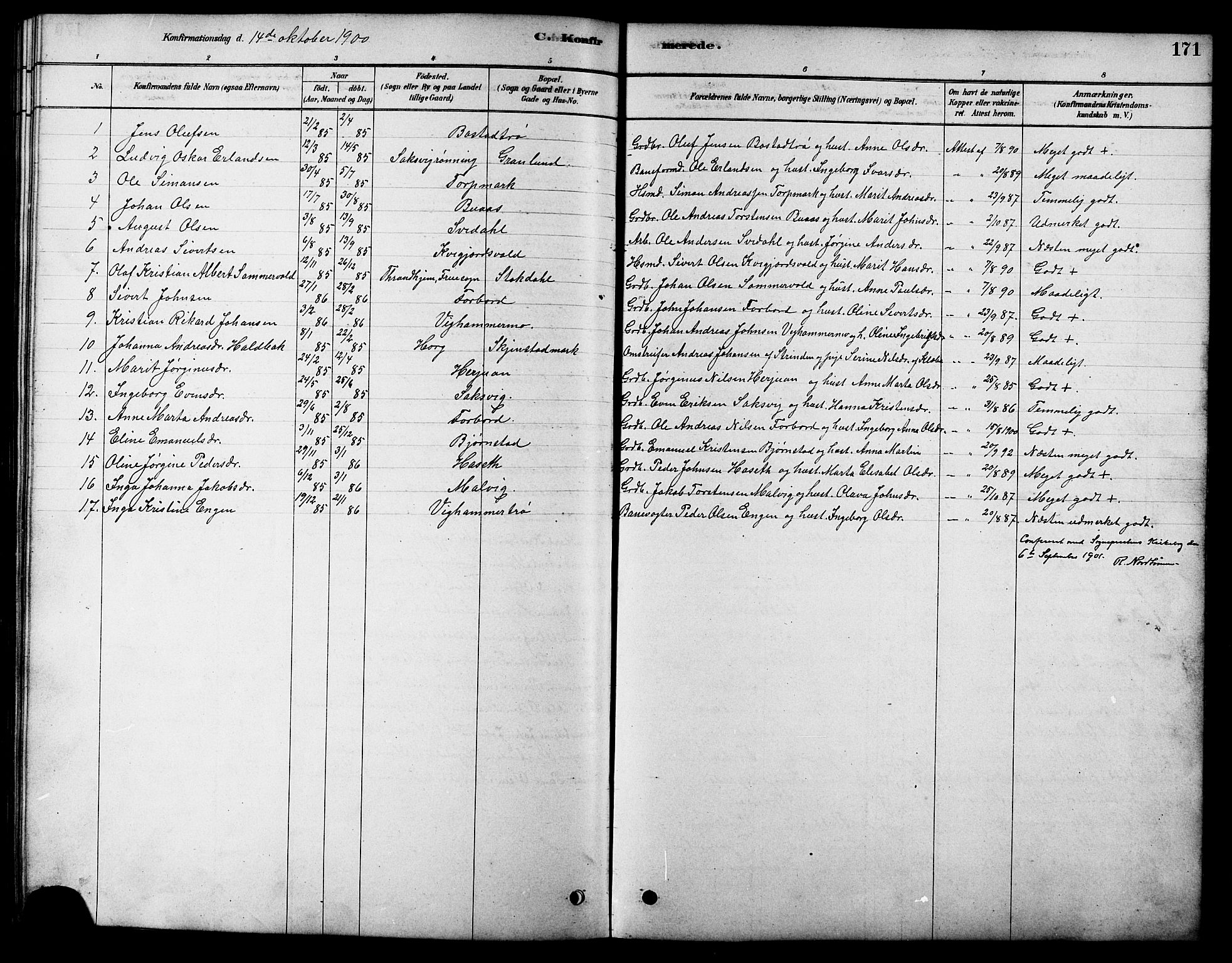Ministerialprotokoller, klokkerbøker og fødselsregistre - Sør-Trøndelag, SAT/A-1456/616/L0423: Parish register (copy) no. 616C06, 1878-1903, p. 171