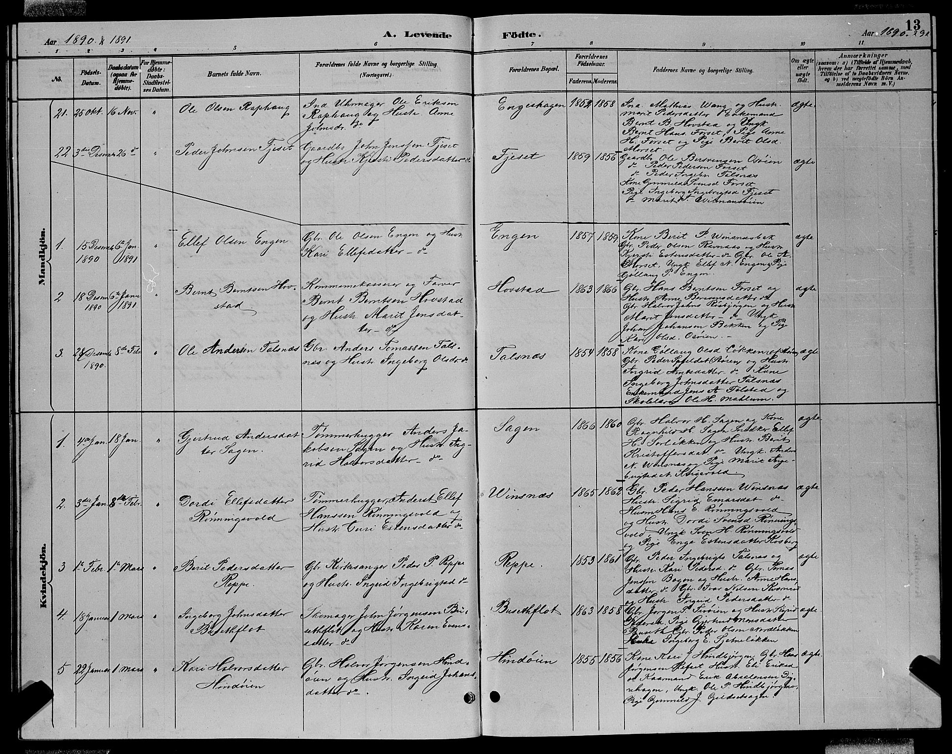 Ministerialprotokoller, klokkerbøker og fødselsregistre - Sør-Trøndelag, SAT/A-1456/688/L1028: Parish register (copy) no. 688C03, 1889-1899, p. 13