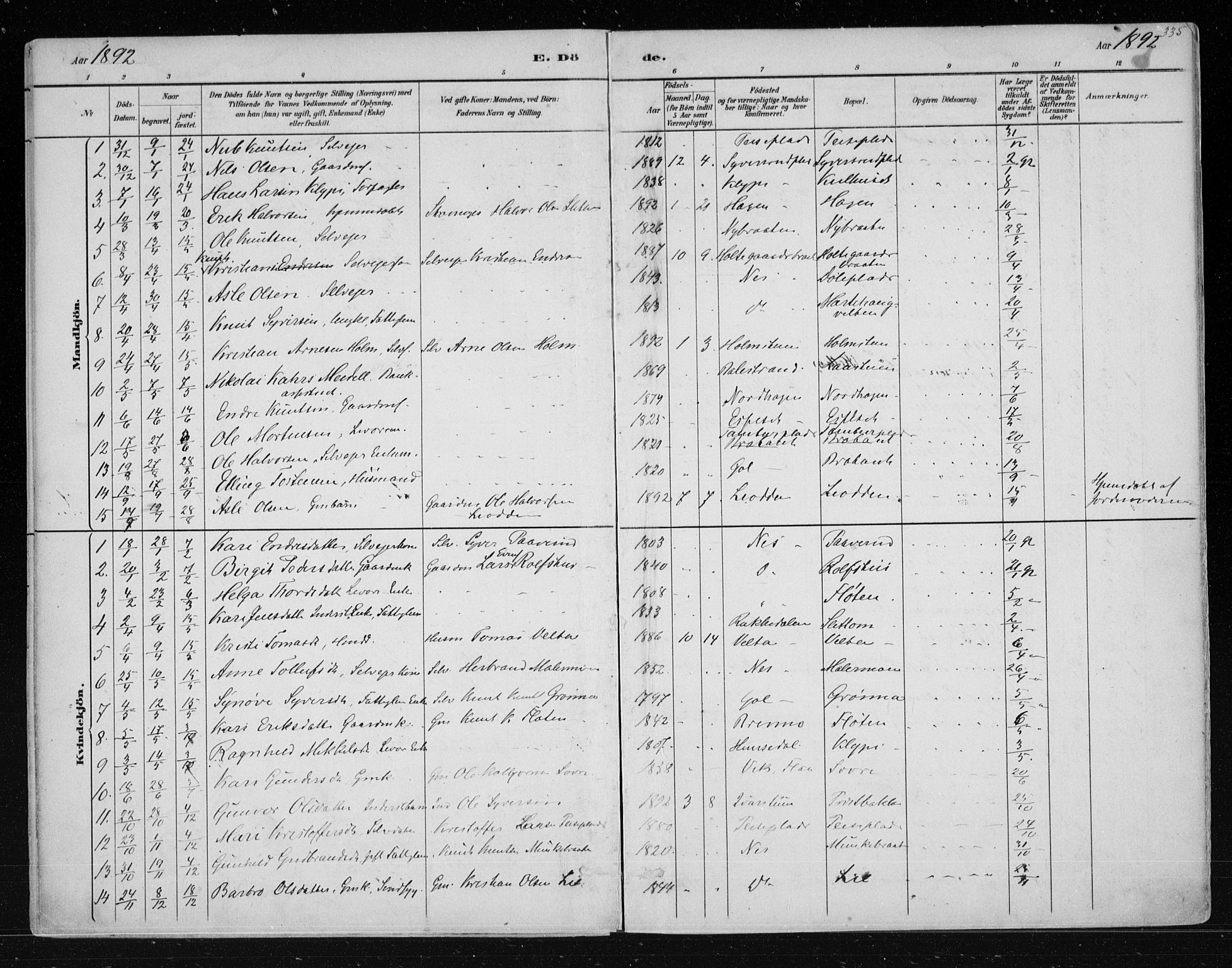 Nes kirkebøker, SAKO/A-236/F/Fa/L0011: Parish register (official) no. 11, 1881-1912, p. 335