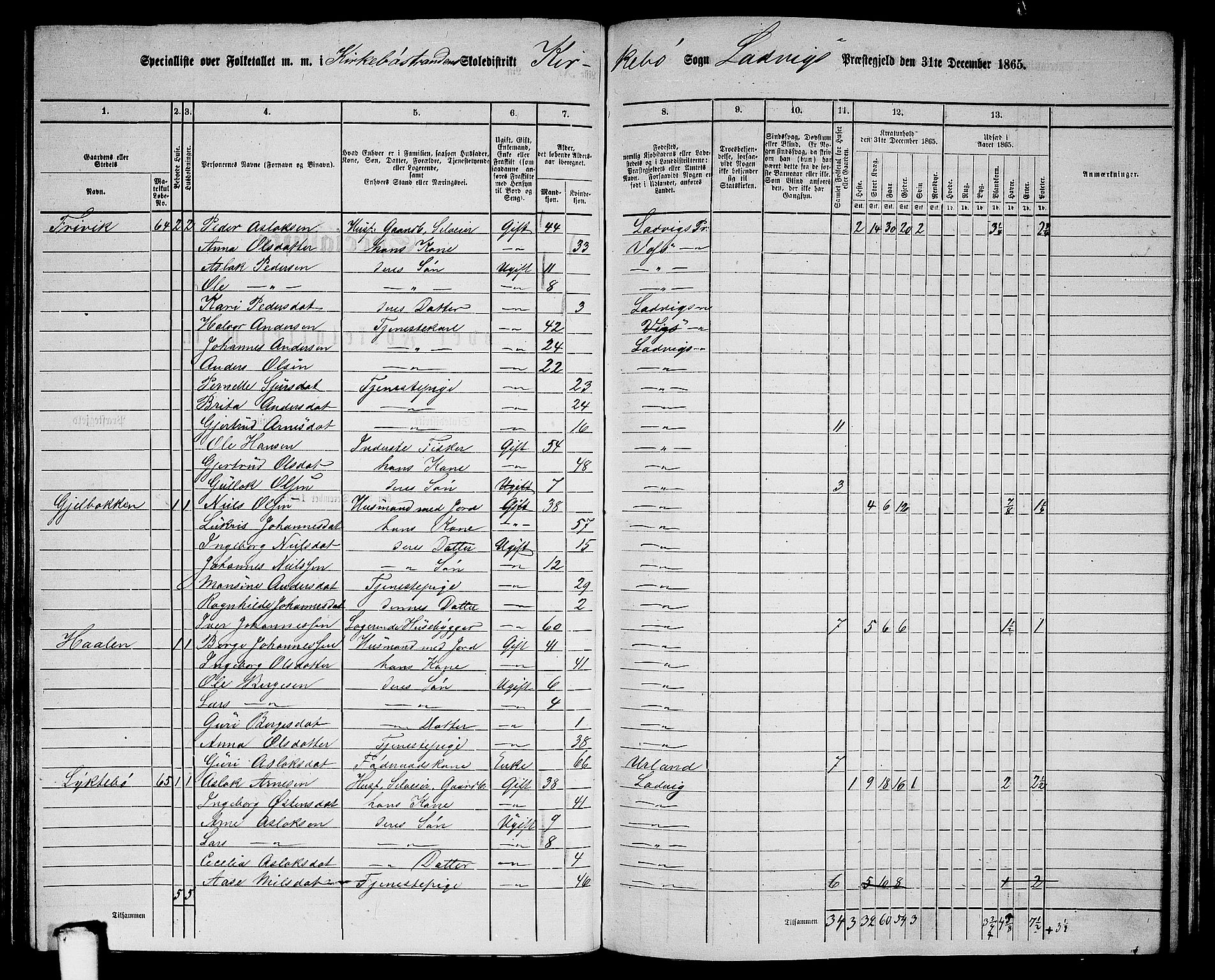 RA, 1865 census for Lavik, 1865, p. 119