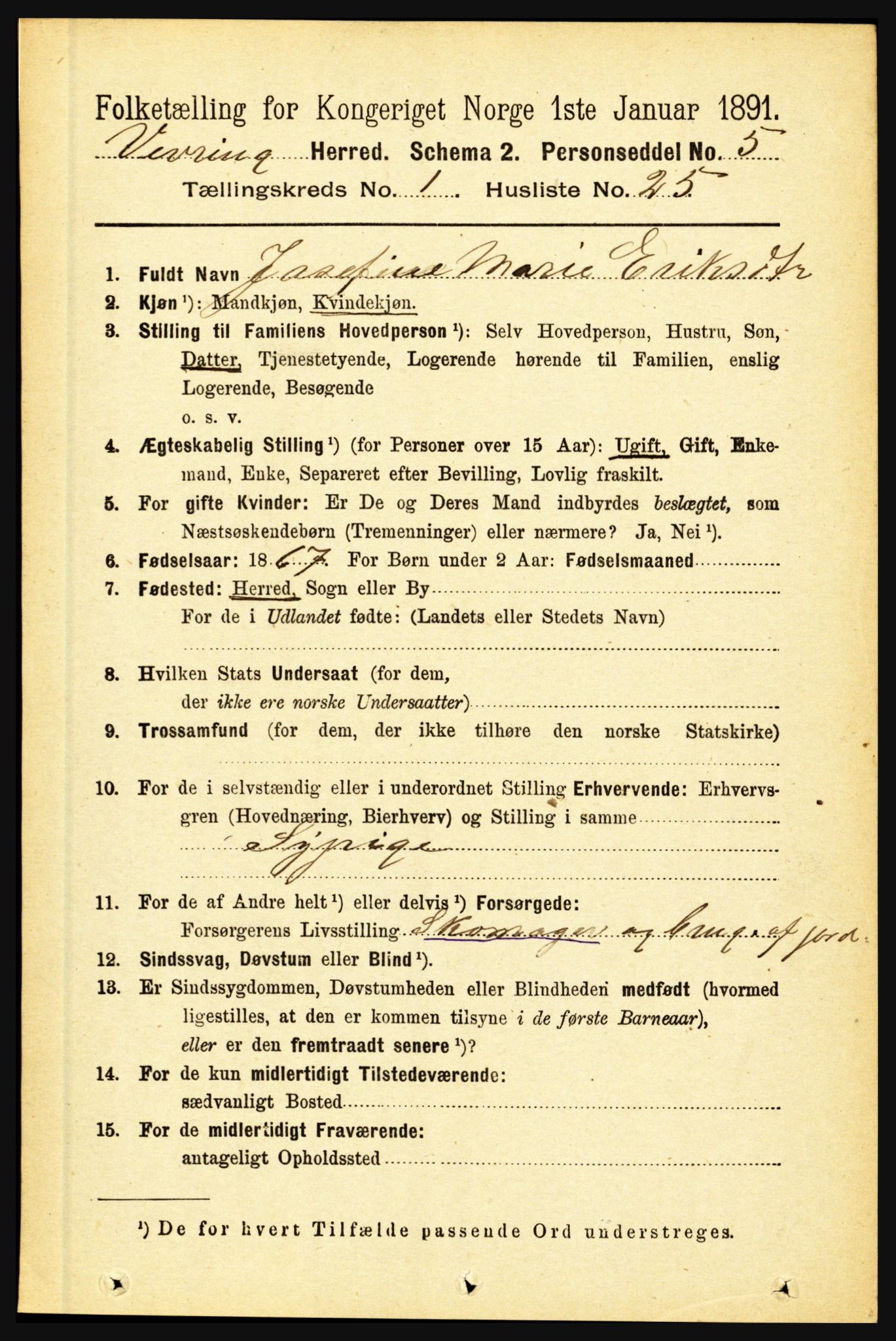 RA, 1891 census for 1434 Vevring, 1891, p. 230