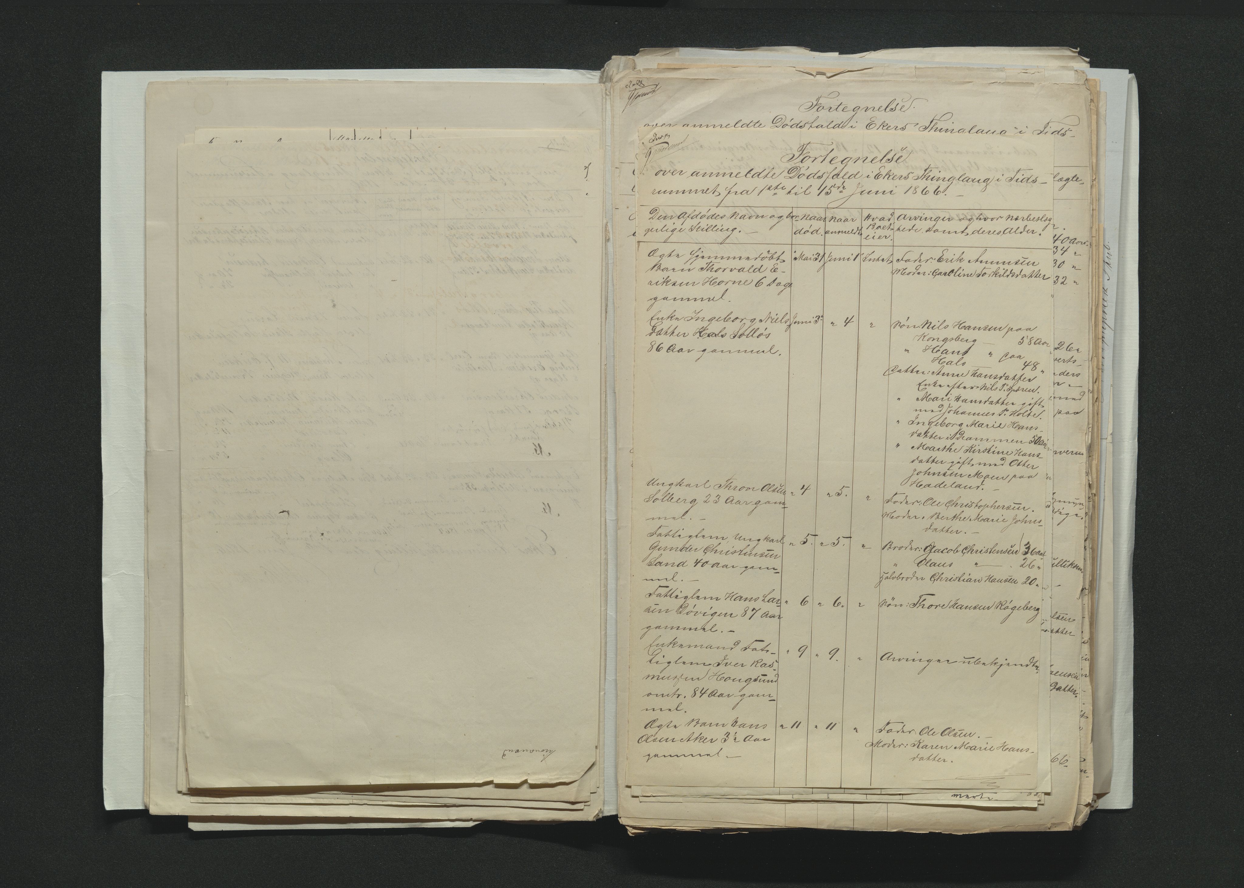 Eiker, Modum og Sigdal sorenskriveri, AV/SAKO-A-123/H/Ha/Hab/L0012: Dødsfallsmeldinger, 1866-1869, p. 26