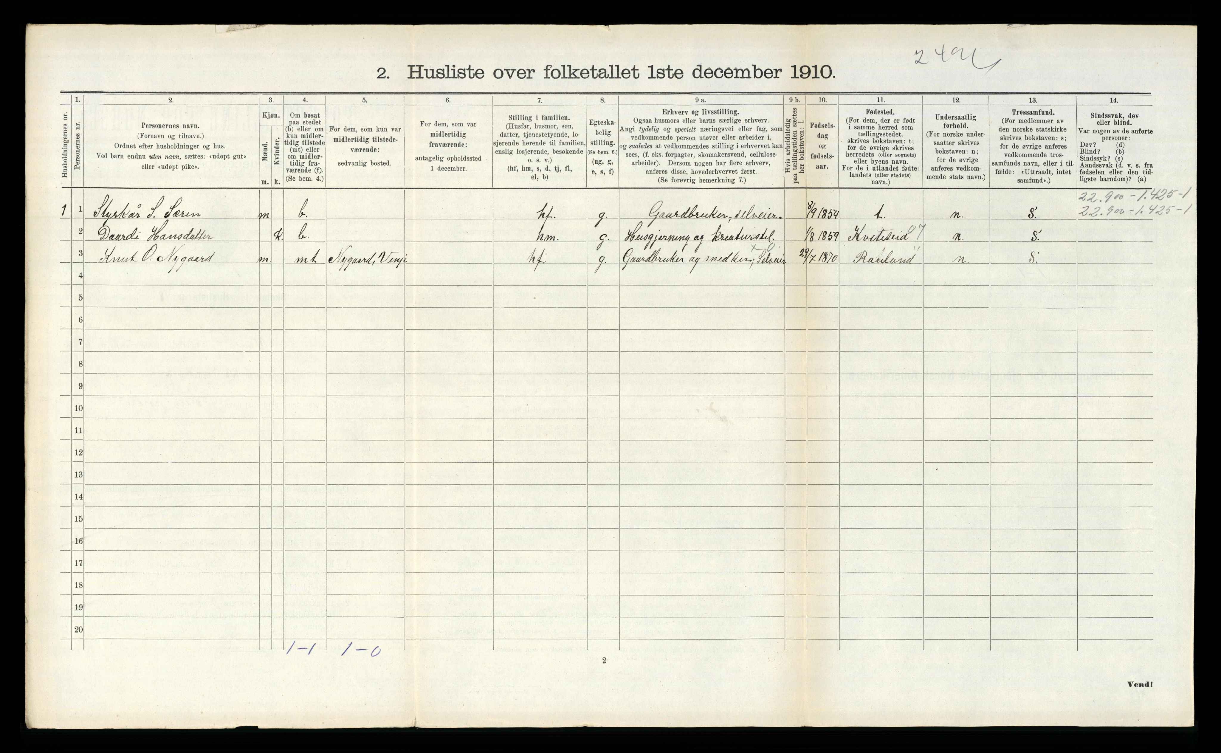 RA, 1910 census for Vinje, 1910, p. 199