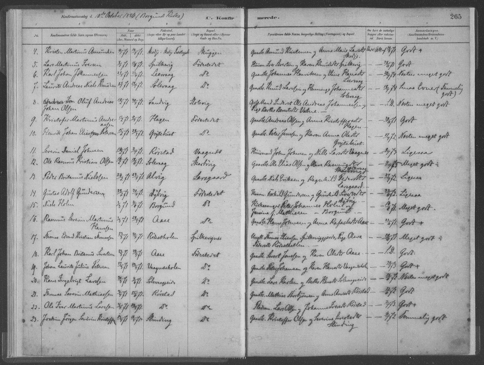 Ministerialprotokoller, klokkerbøker og fødselsregistre - Møre og Romsdal, SAT/A-1454/528/L0402: Parish register (official) no. 528A12II, 1880-1903, p. 265