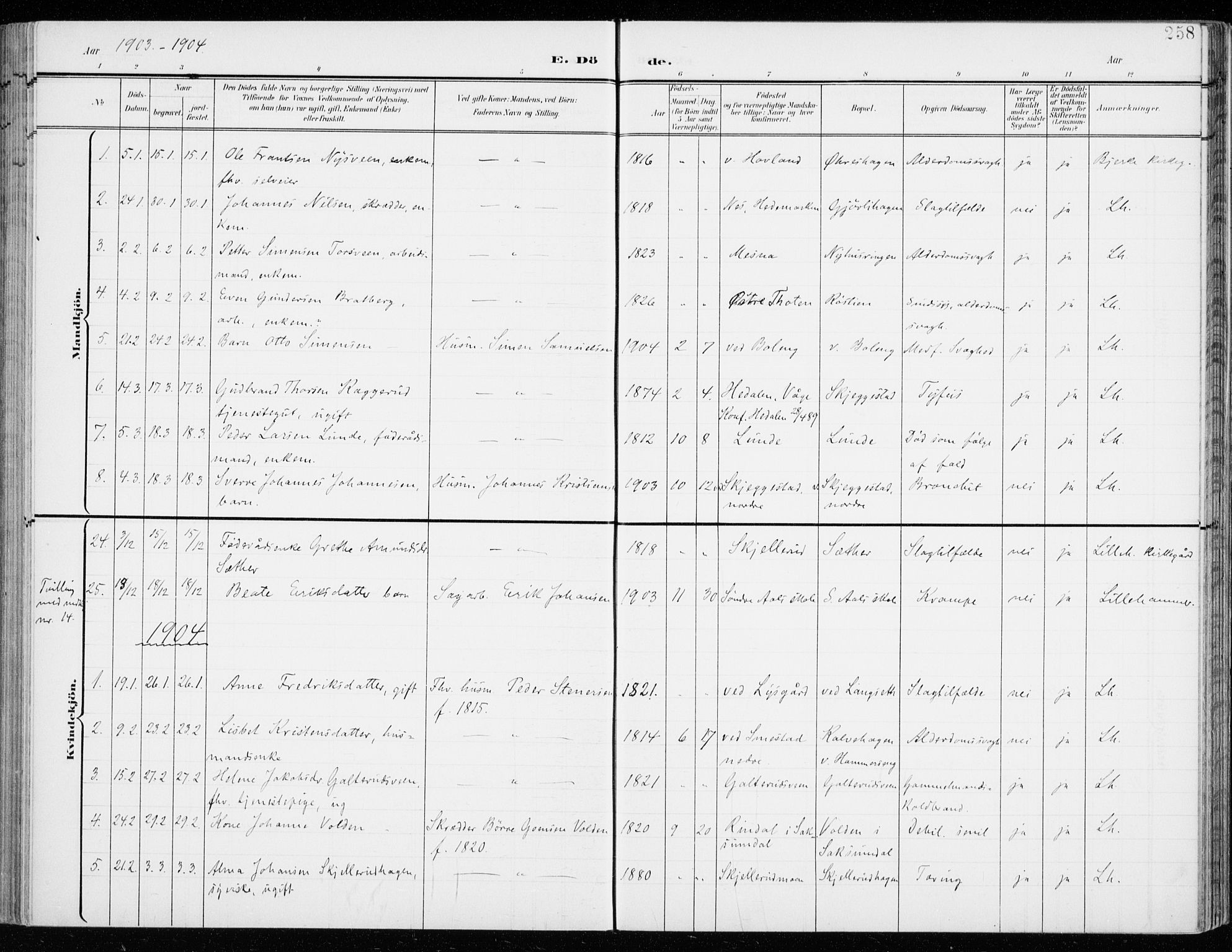 Fåberg prestekontor, SAH/PREST-086/H/Ha/Haa/L0011: Parish register (official) no. 11, 1899-1913, p. 258