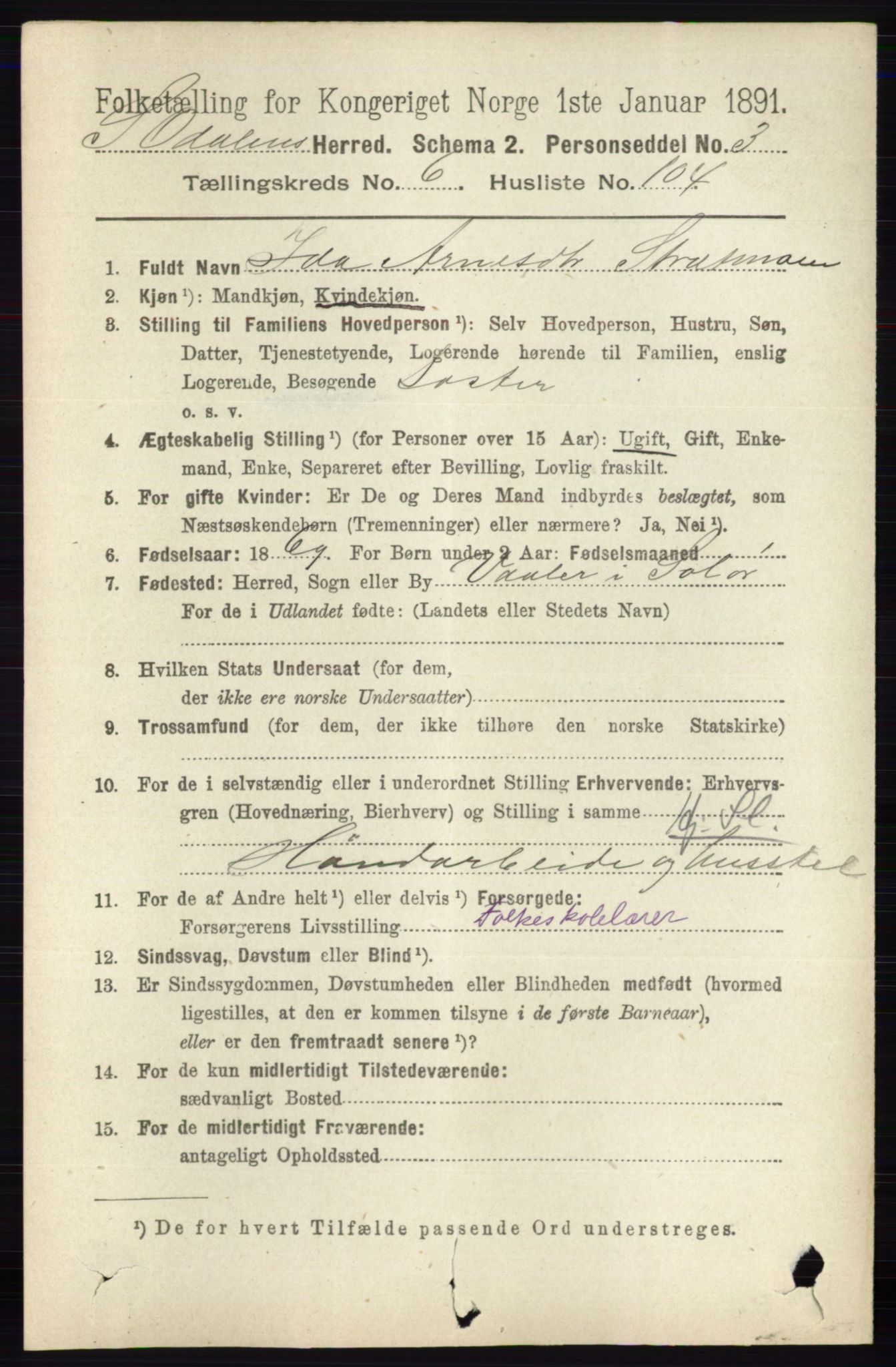 RA, 1891 census for 0419 Sør-Odal, 1891, p. 3486