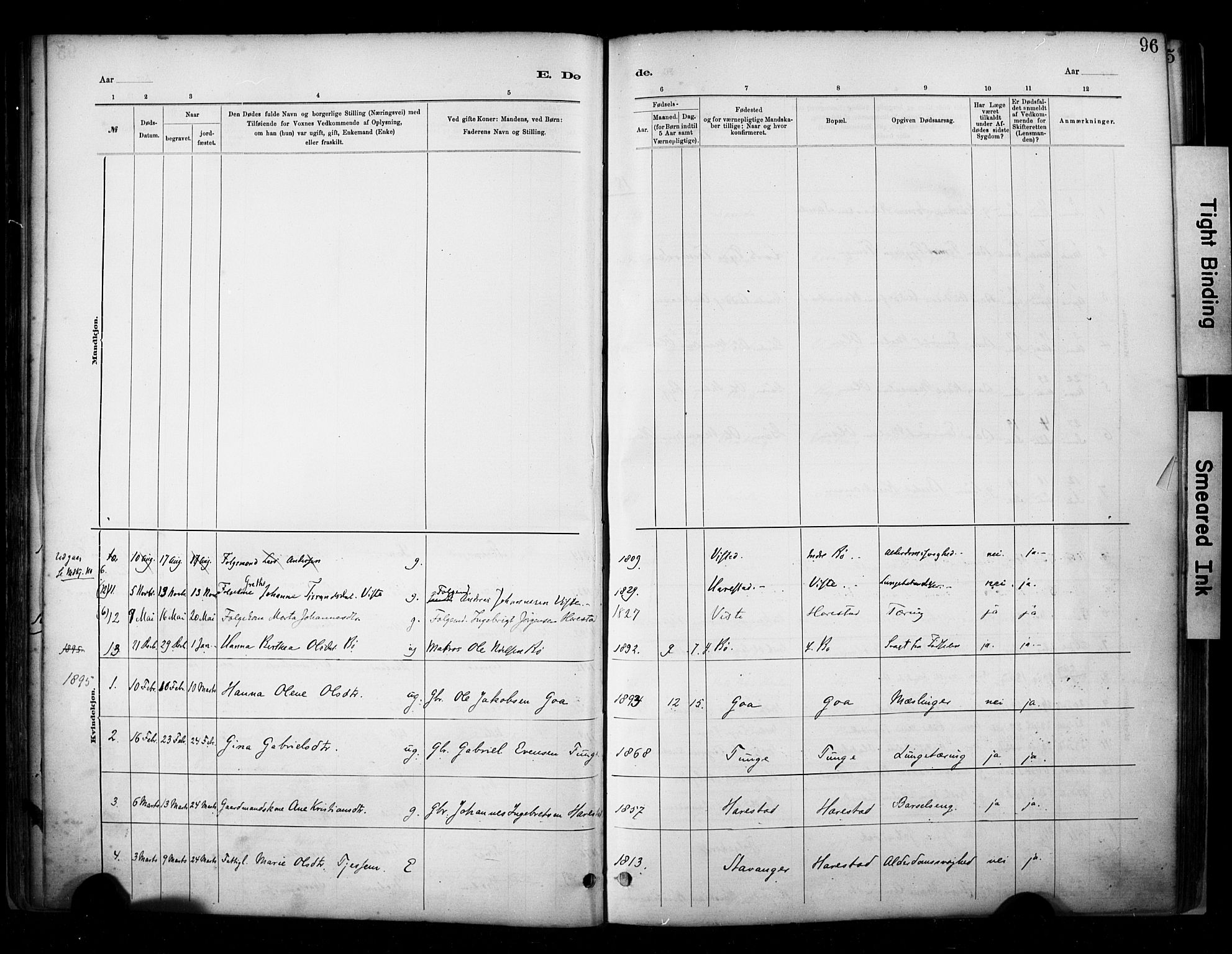 Hetland sokneprestkontor, SAST/A-101826/30/30BA/L0009: Parish register (official) no. A 9, 1882-1918, p. 96