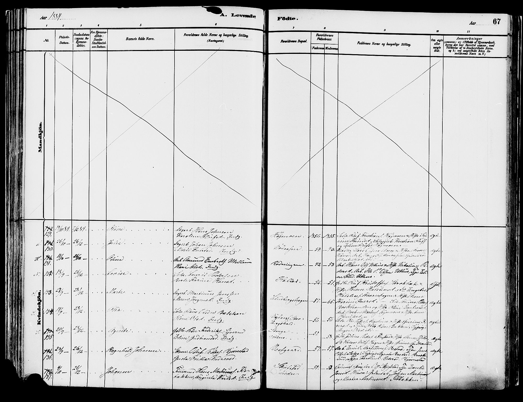 Elverum prestekontor, SAH/PREST-044/H/Ha/Haa/L0013: Parish register (official) no. 13, 1880-1890, p. 67