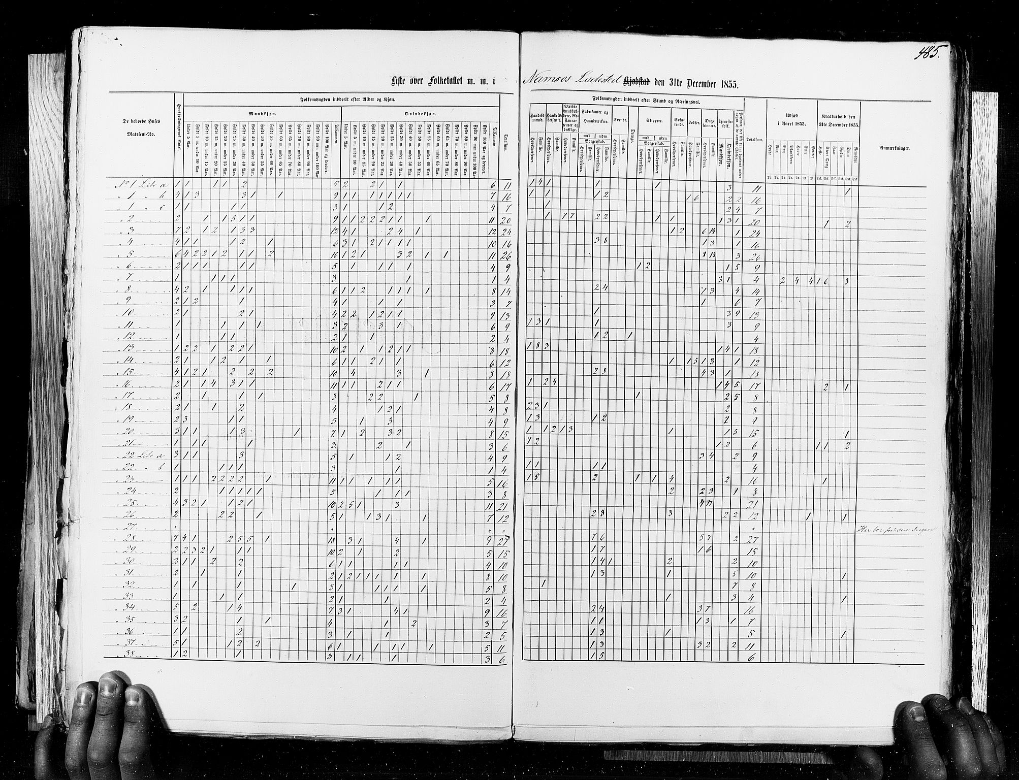 RA, Census 1855, vol. 8: Risør-Vadsø, 1855, p. 485