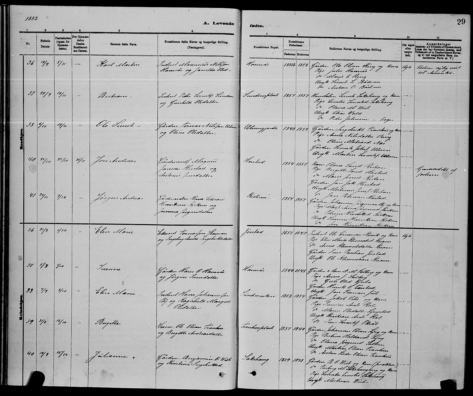 Ministerialprotokoller, klokkerbøker og fødselsregistre - Nord-Trøndelag, AV/SAT-A-1458/730/L0301: Parish register (copy) no. 730C04, 1880-1897, p. 29