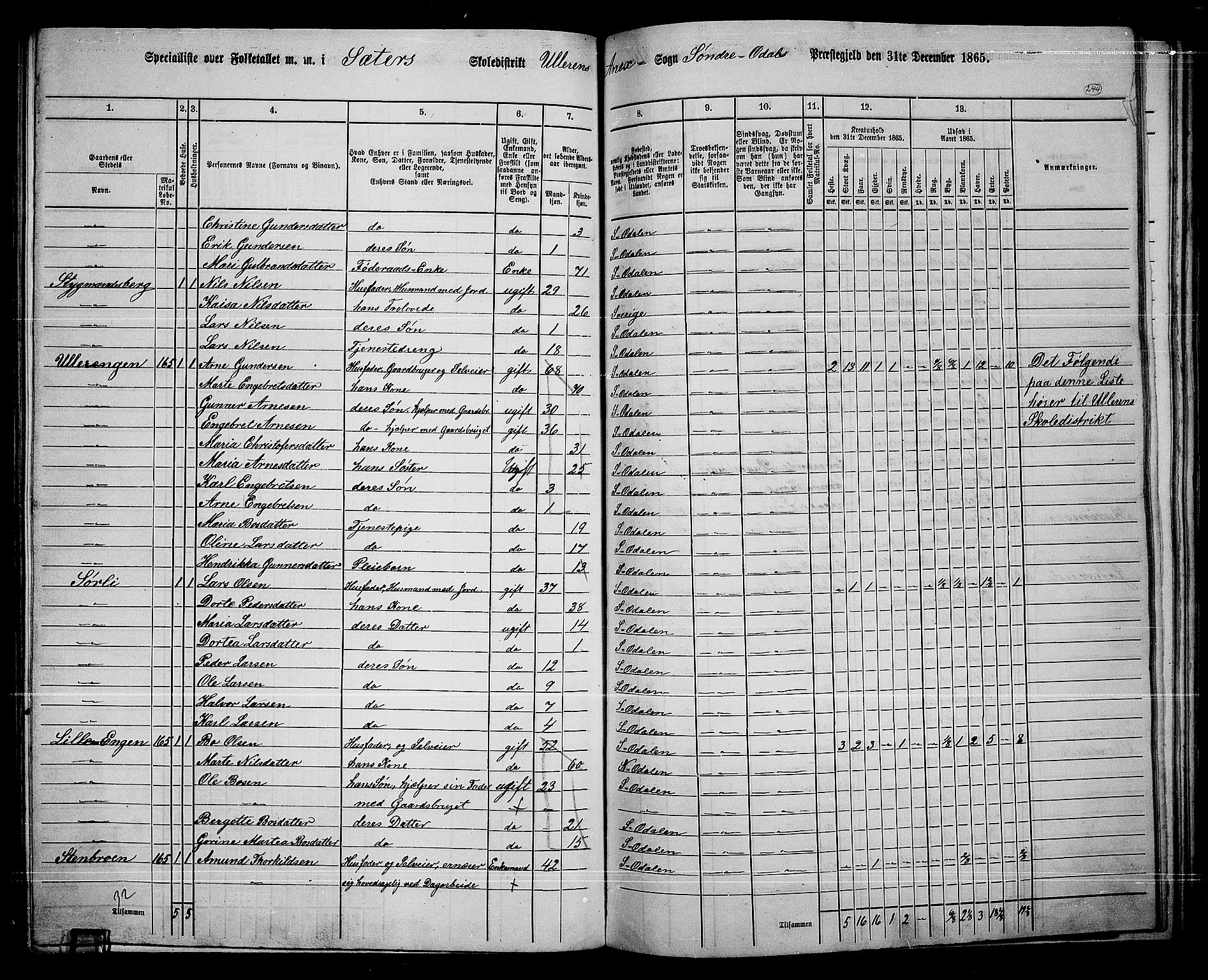 RA, 1865 census for Sør-Odal, 1865, p. 214