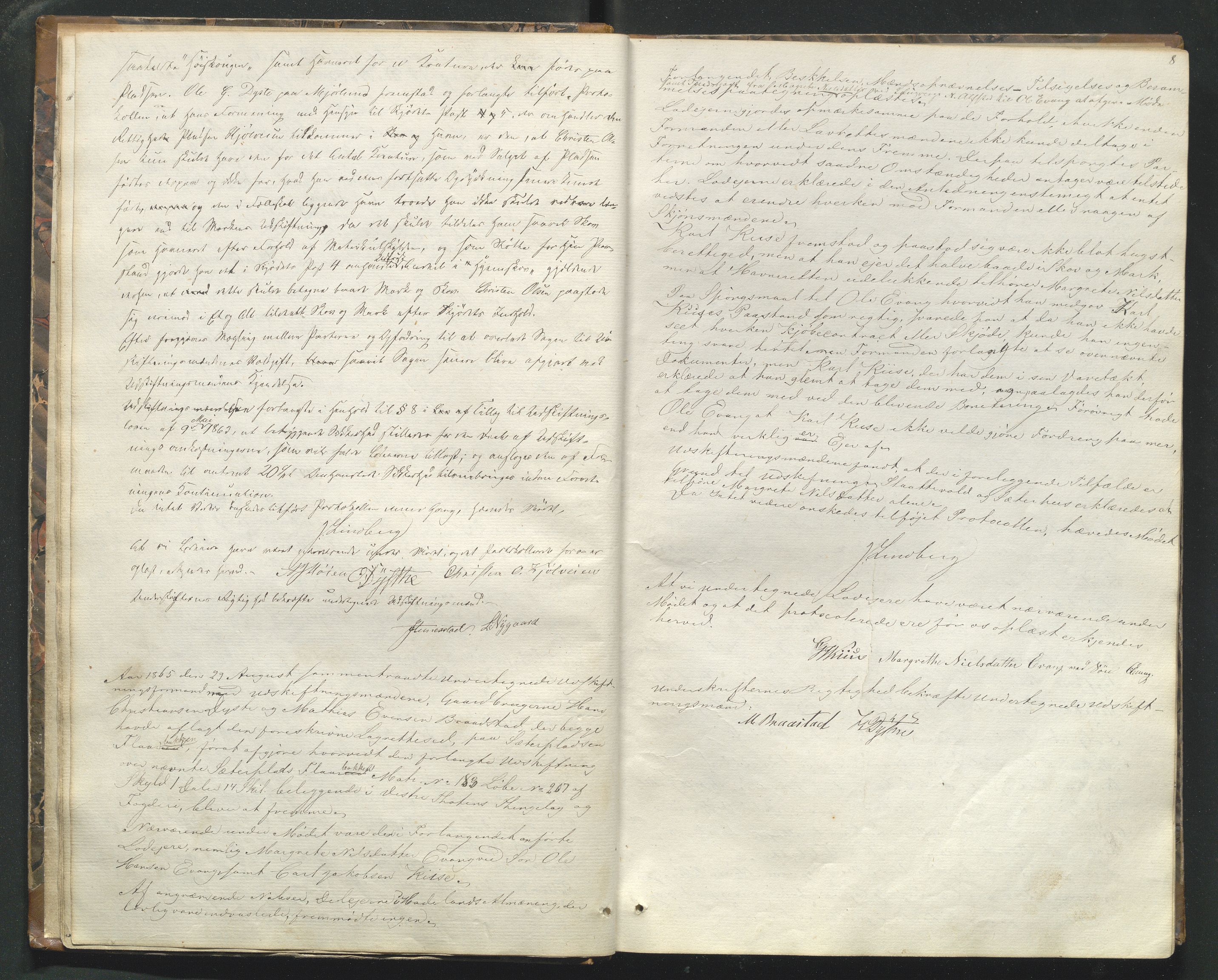 Utskiftningsformannen i Oppland fylke, AV/SAH-JORDSKIFTEO-001/H/Hf/Hfg/L0001: Forhandlingsprotokoll - Toten og Hadeland, 1865-1868, p. 8