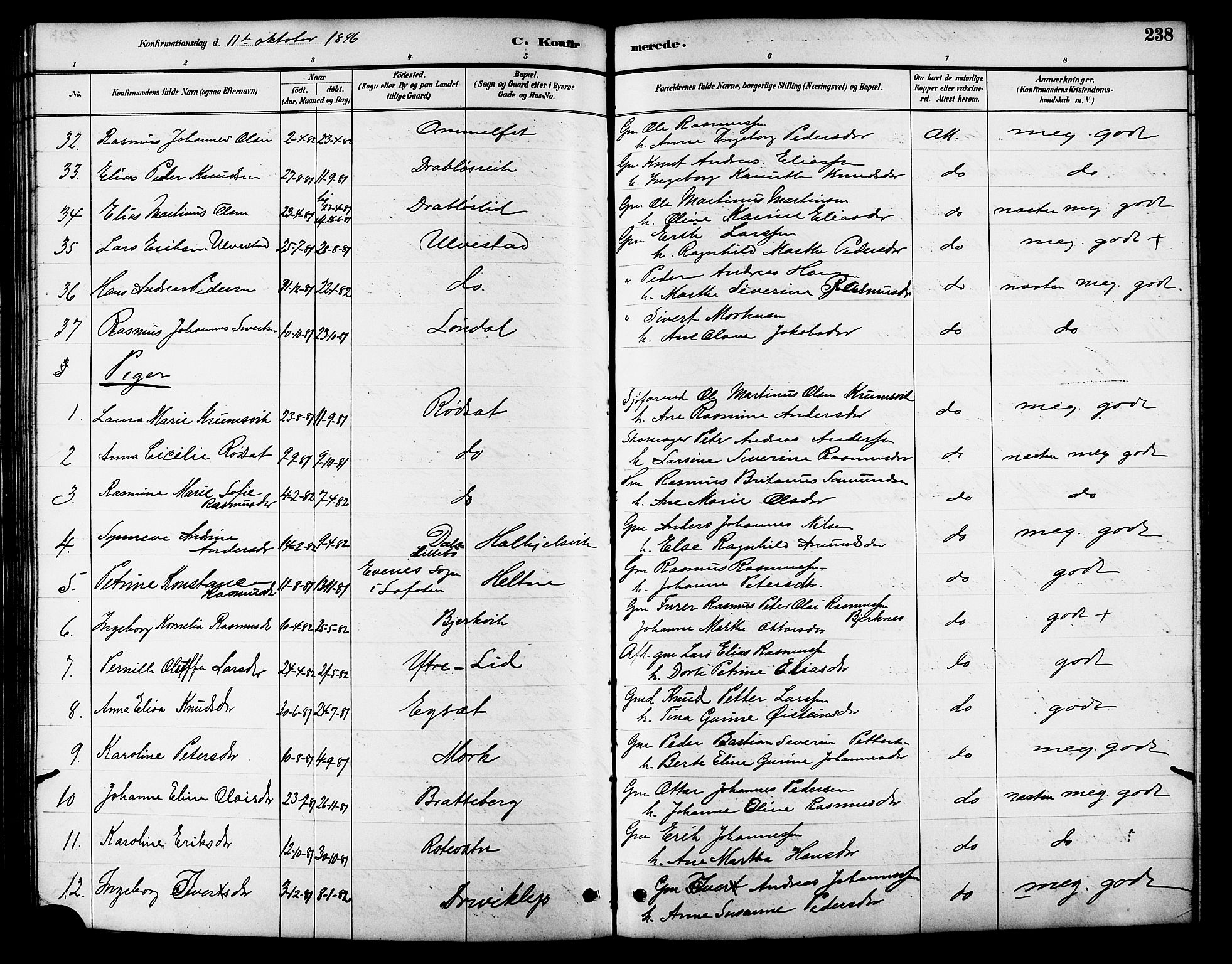 Ministerialprotokoller, klokkerbøker og fødselsregistre - Møre og Romsdal, AV/SAT-A-1454/511/L0158: Parish register (copy) no. 511C04, 1884-1903, p. 238