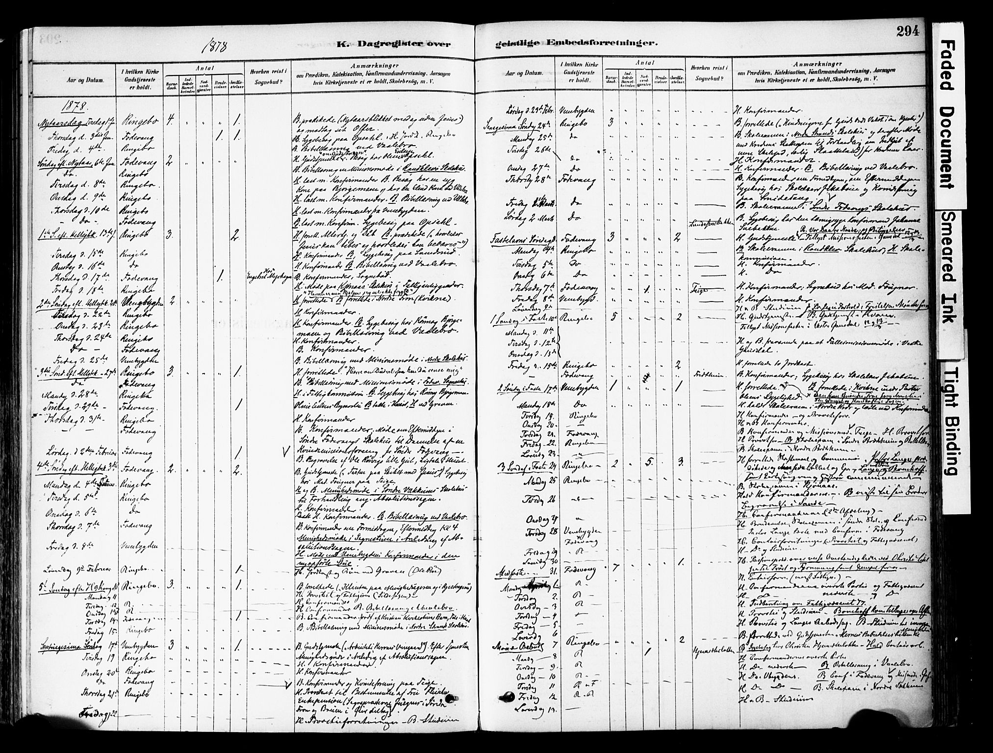 Ringebu prestekontor, SAH/PREST-082/H/Ha/Haa/L0008: Parish register (official) no. 8, 1878-1898, p. 294