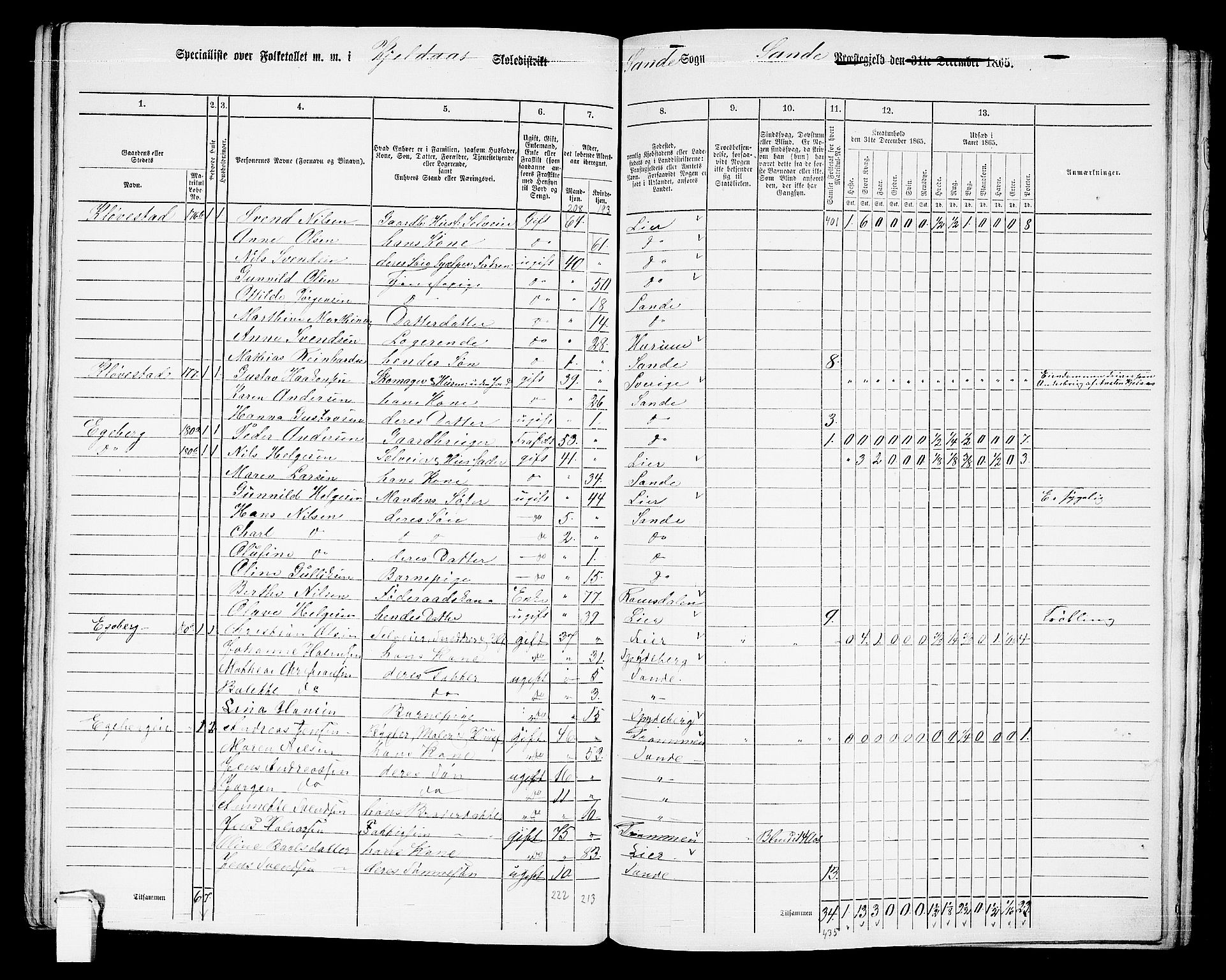 RA, 1865 census for Sande, 1865, p. 102