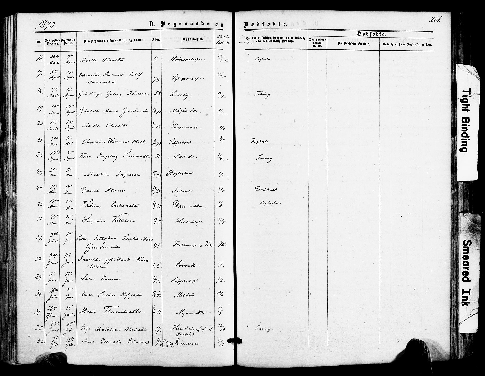 Froland sokneprestkontor, SAK/1111-0013/F/Fa/L0003: Parish register (official) no. A 3, 1864-1881, p. 201