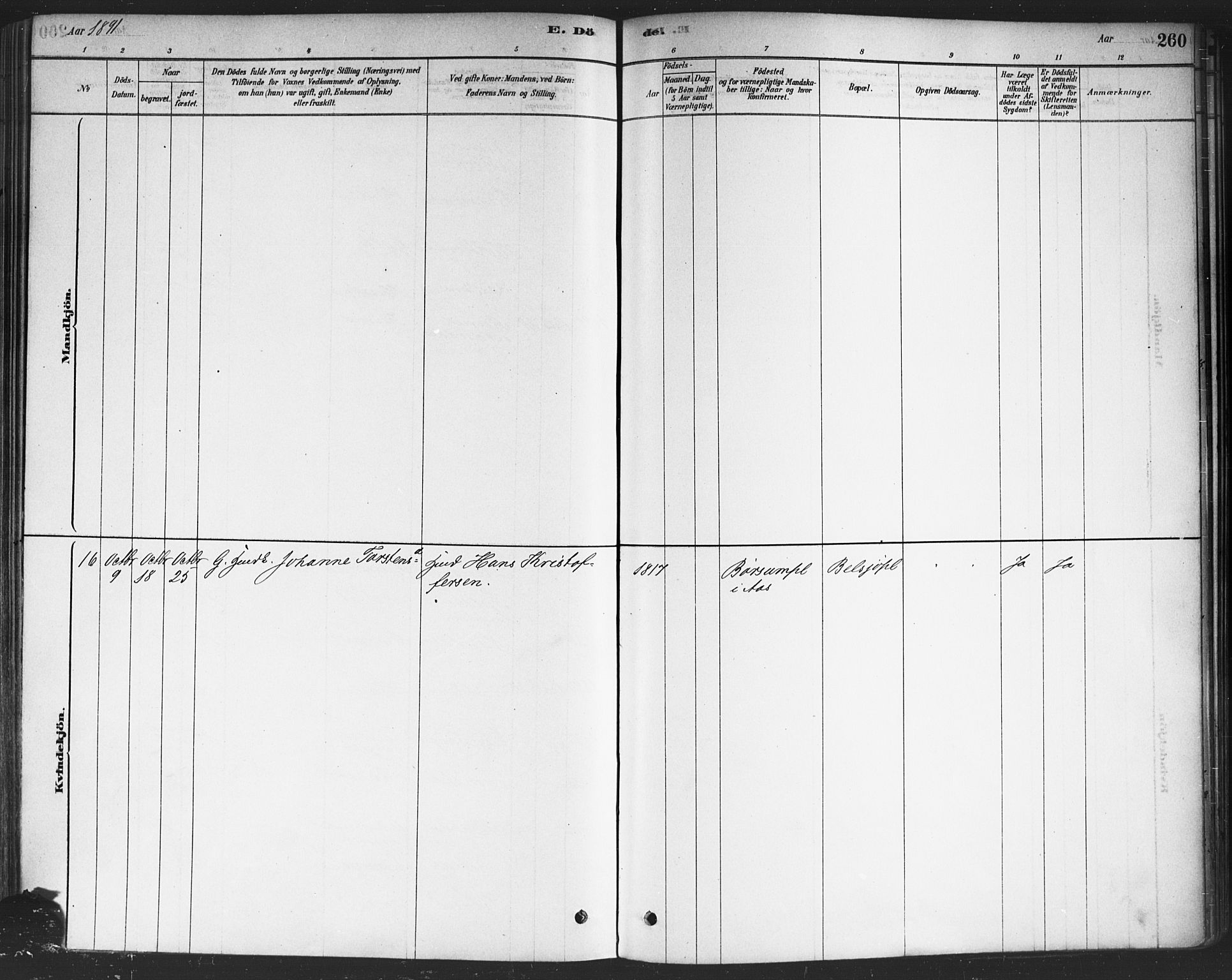 Drøbak prestekontor Kirkebøker, SAO/A-10142a/F/Fc/L0002: Parish register (official) no. III 2, 1878-1891, p. 260