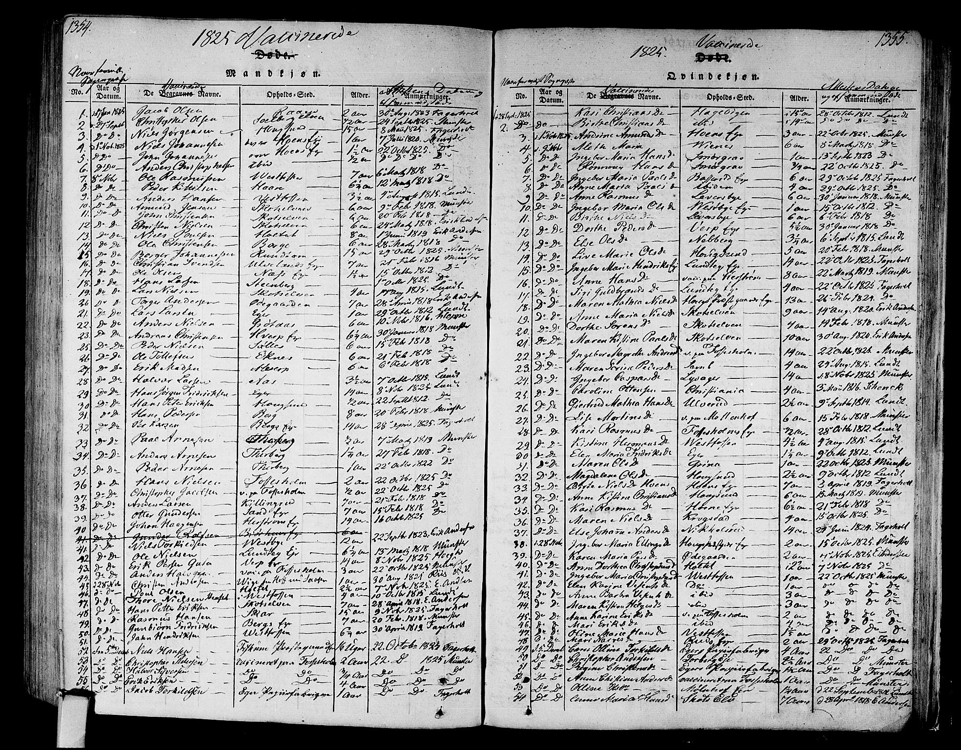 Eiker kirkebøker, SAKO/A-4/F/Fa/L0010: Parish register (official) no. I 10, 1806-1815, p. 1354-1355