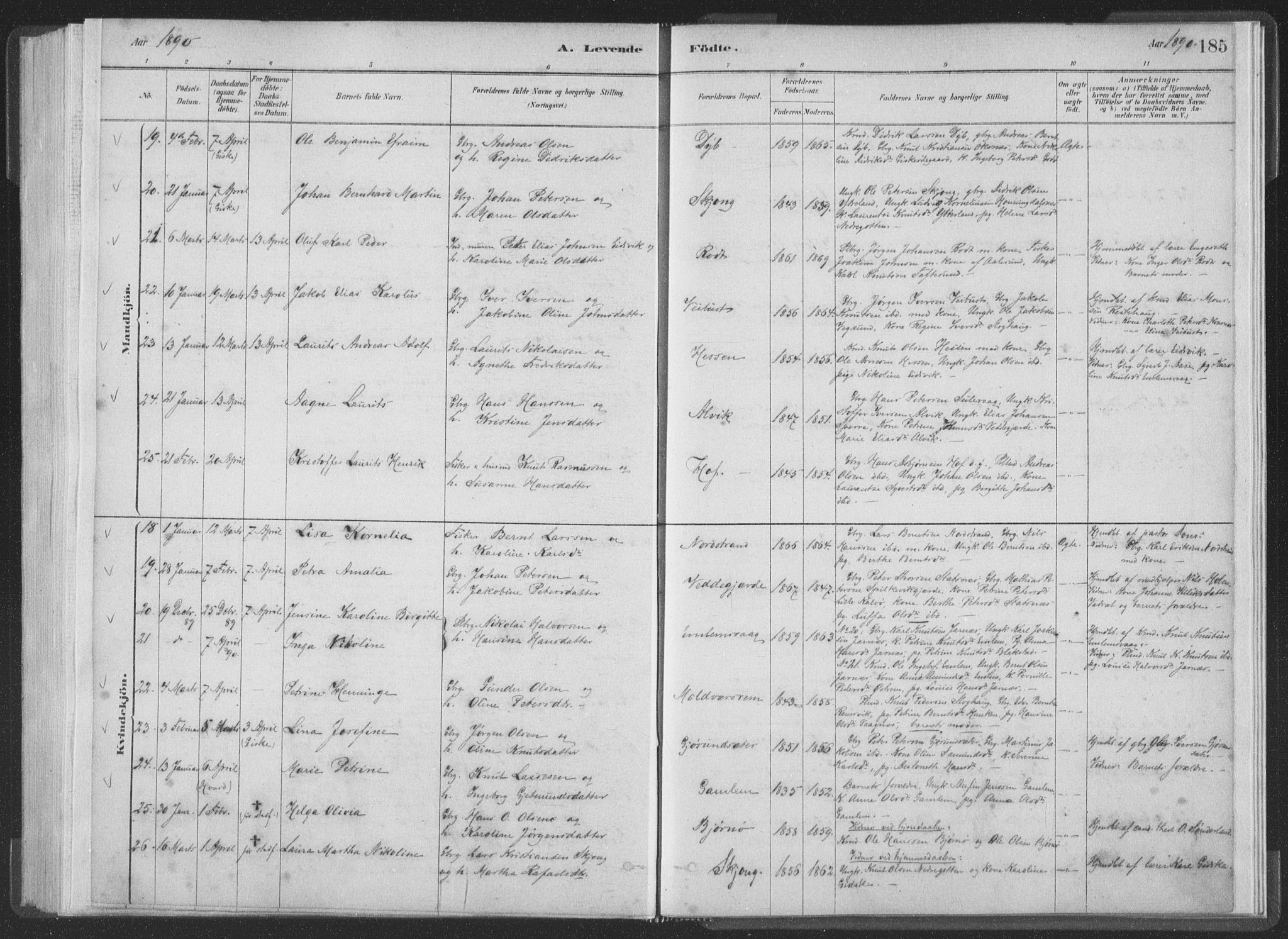 Ministerialprotokoller, klokkerbøker og fødselsregistre - Møre og Romsdal, AV/SAT-A-1454/528/L0401: Parish register (official) no. 528A12I, 1880-1920, p. 185