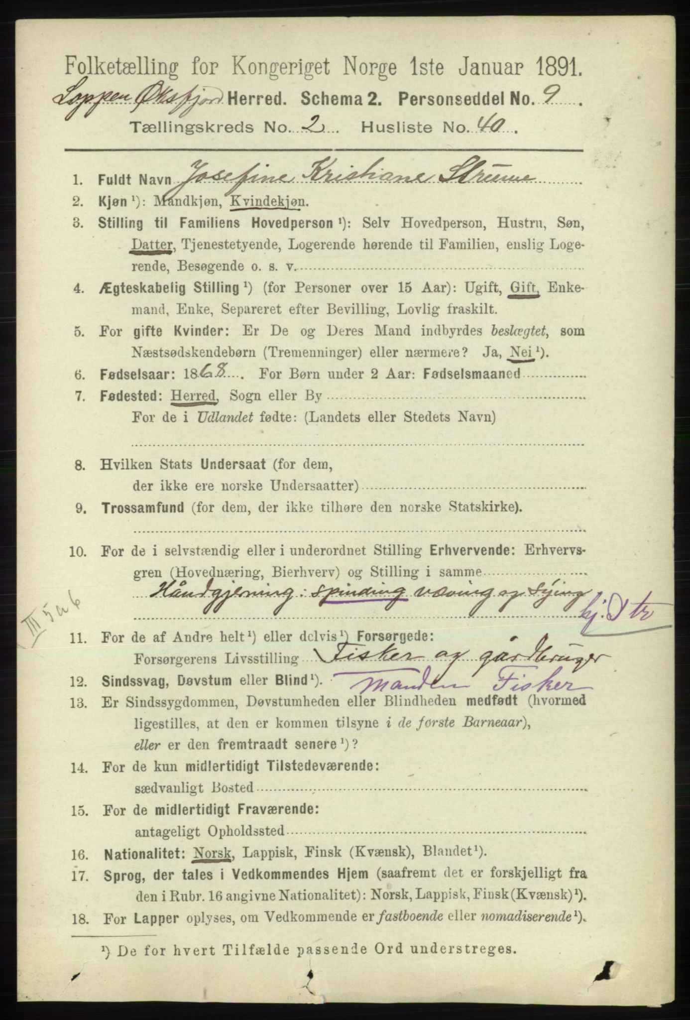 RA, 1891 census for 2014 Loppa, 1891, p. 646