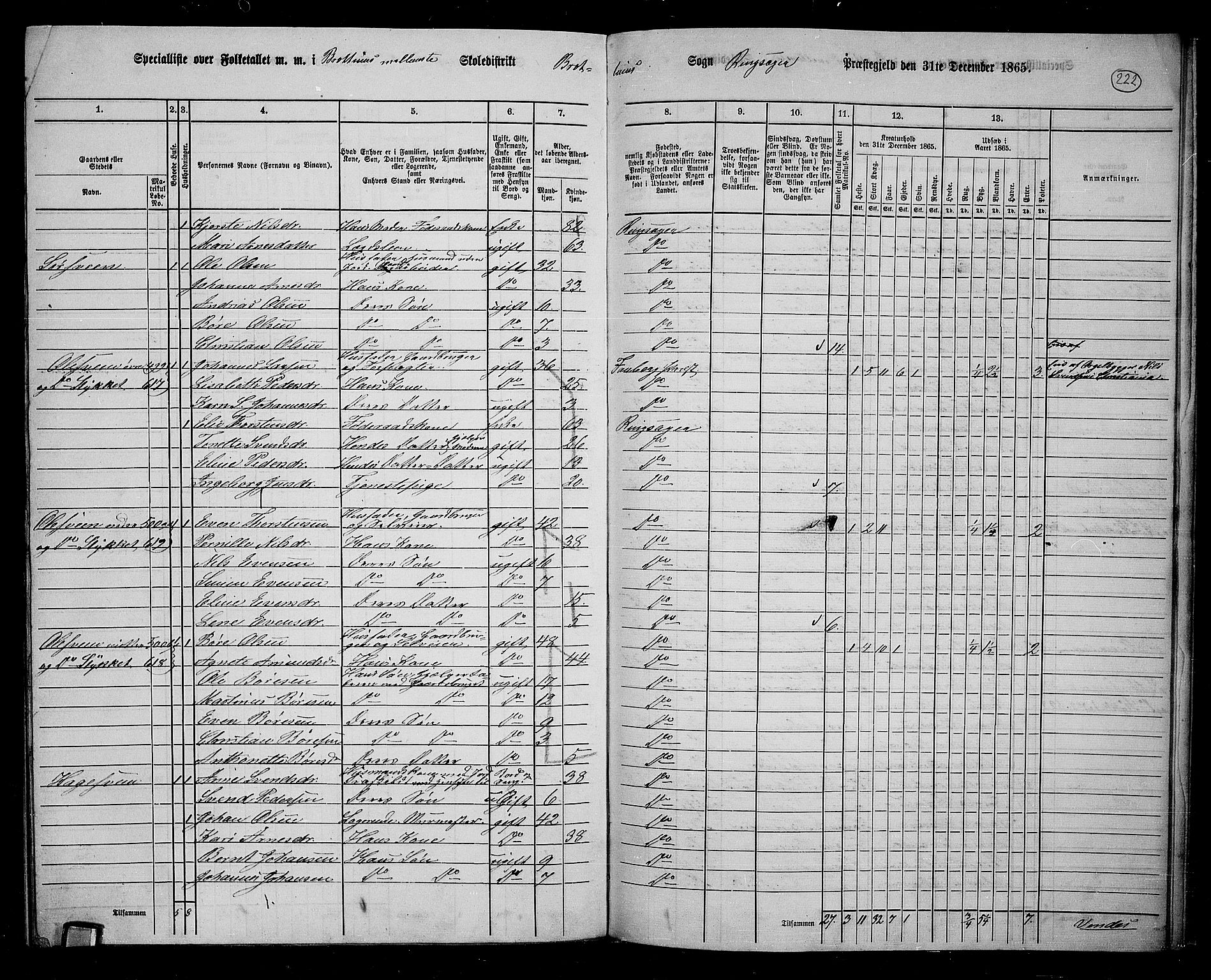 RA, 1865 census for Ringsaker, 1865, p. 461