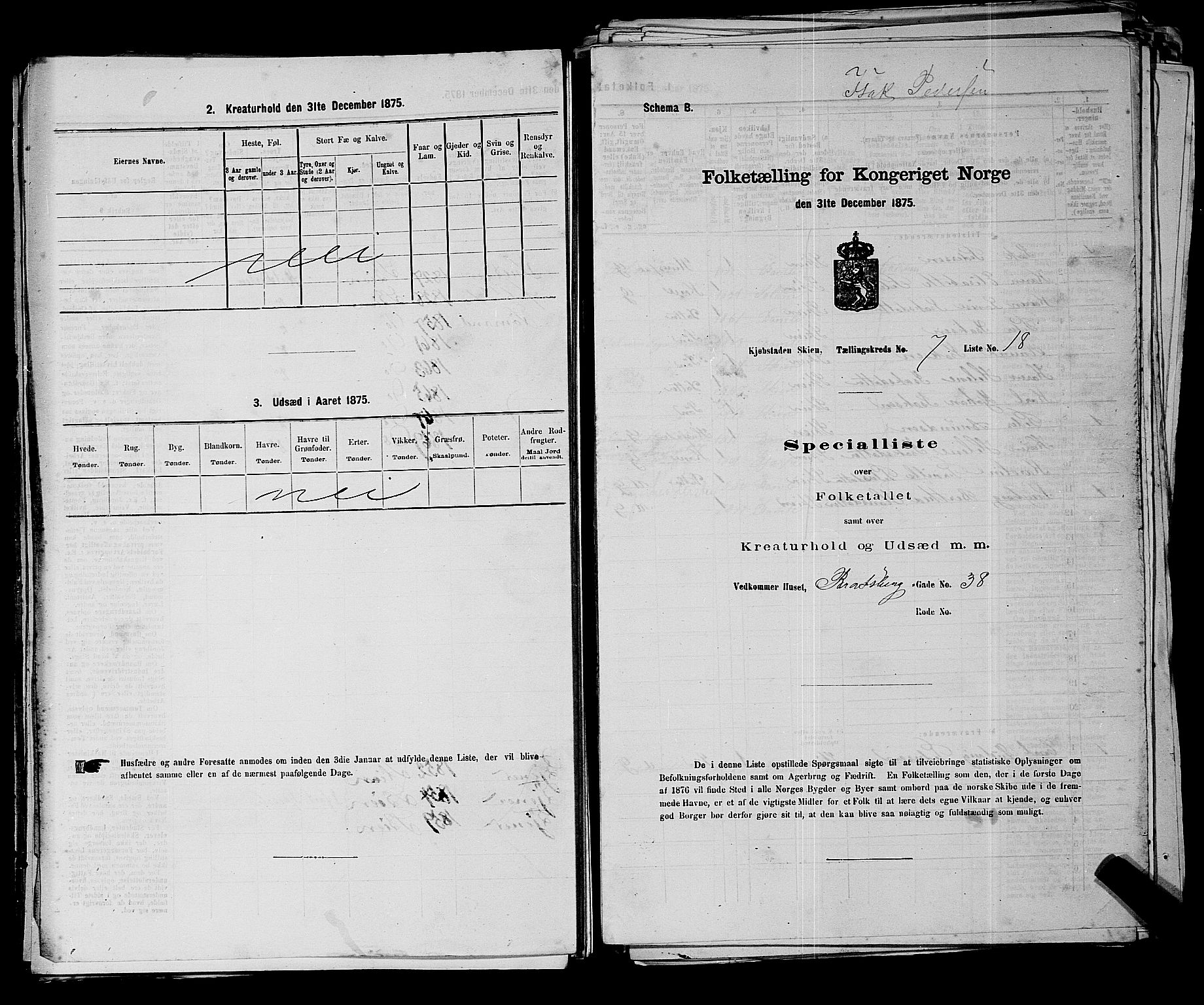 SAKO, 1875 census for 0806P Skien, 1875, p. 1077