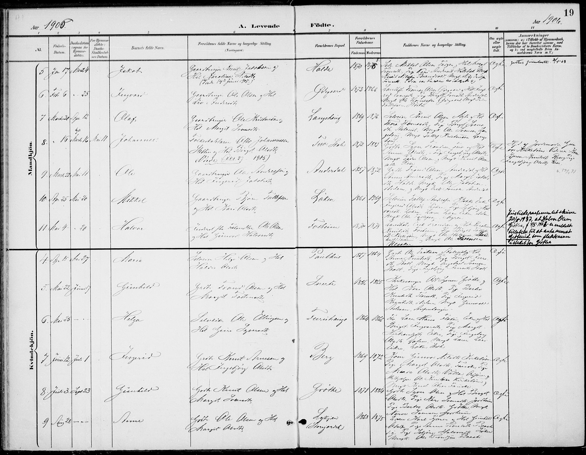 Gol kirkebøker, AV/SAKO-A-226/F/Fb/L0002: Parish register (official) no. II 2, 1900-1921, p. 19