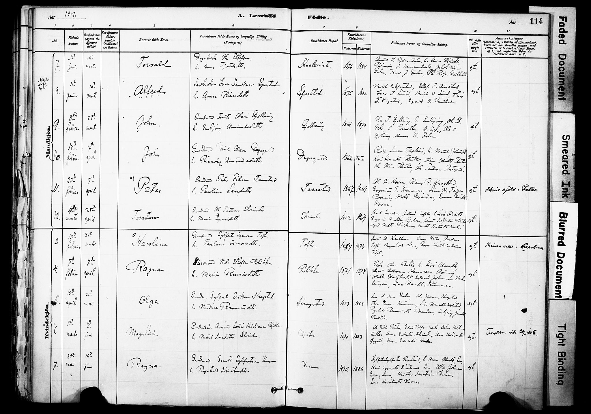 Skjåk prestekontor, AV/SAH-PREST-072/H/Ha/Haa/L0003: Parish register (official) no. 3, 1880-1907, p. 114