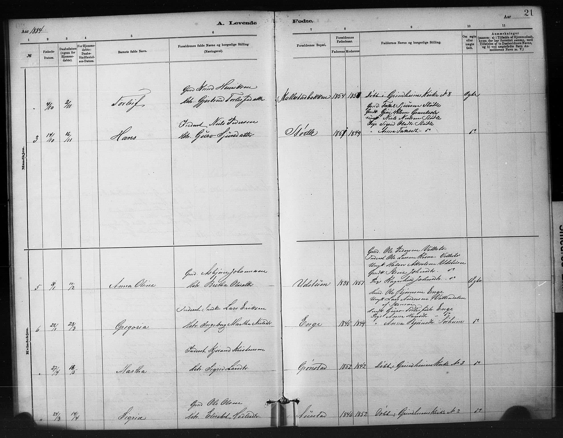Etne sokneprestembete, SAB/A-75001/H/Hab: Parish register (copy) no. A 5, 1879-1896, p. 21
