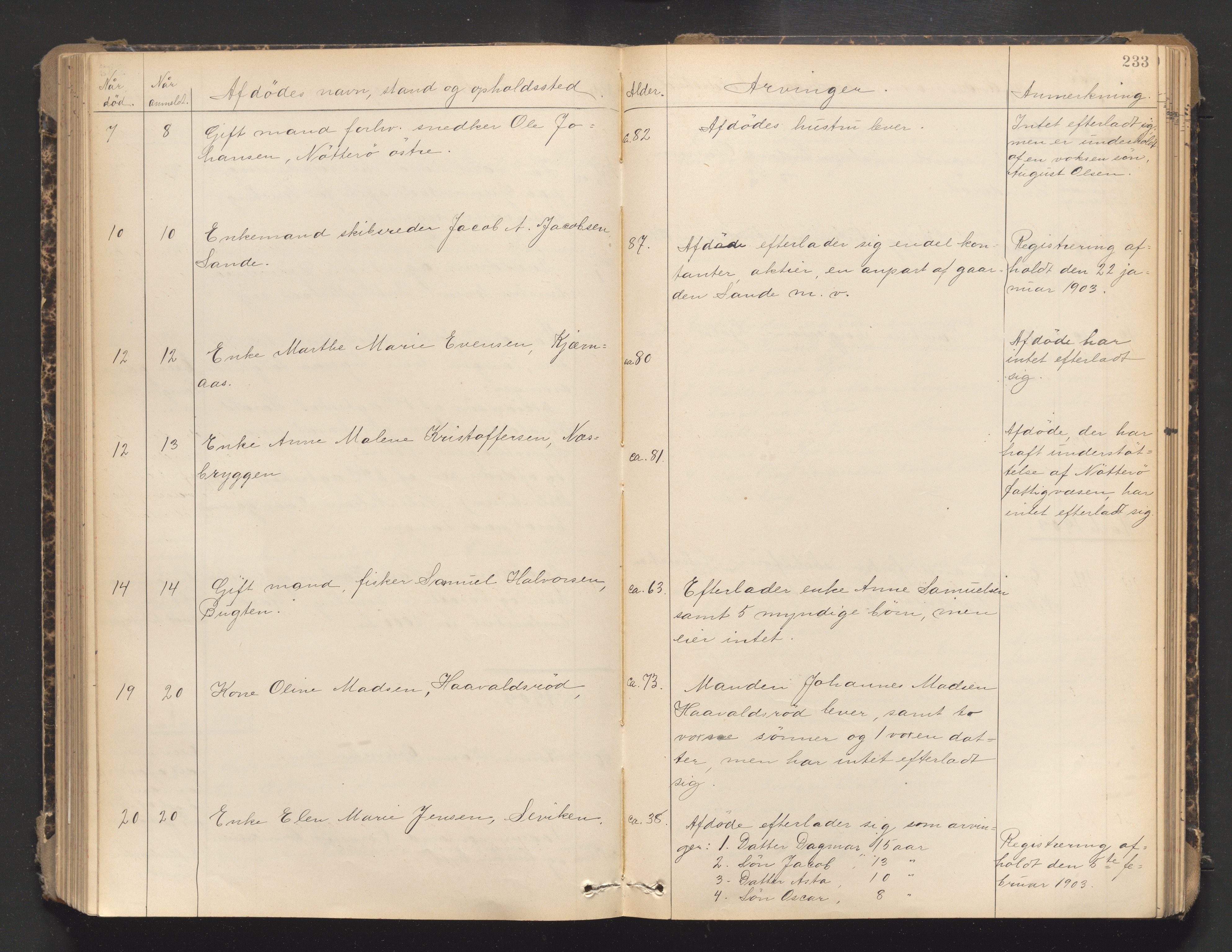 Søndre Jarlsberg sorenskriveri, AV/SAKO-A-129/H/Ha/Hab/L0006: Dødsmeldingsprotokoll, 1899-1906, p. 233