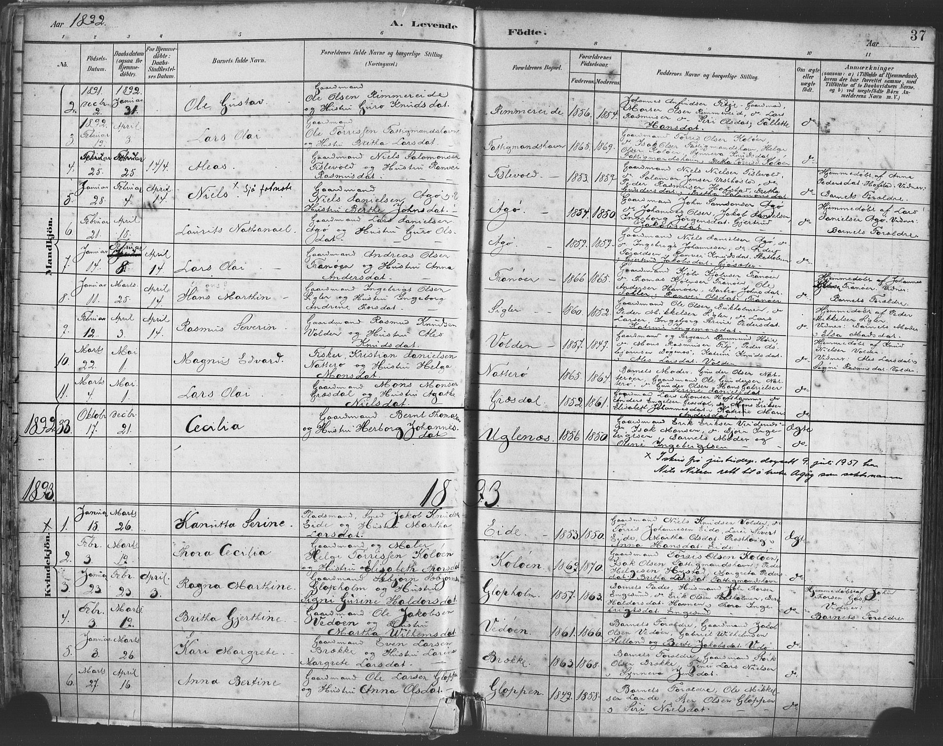 Fitjar sokneprestembete, AV/SAB-A-99926: Parish register (official) no. A 2, 1882-1899, p. 37