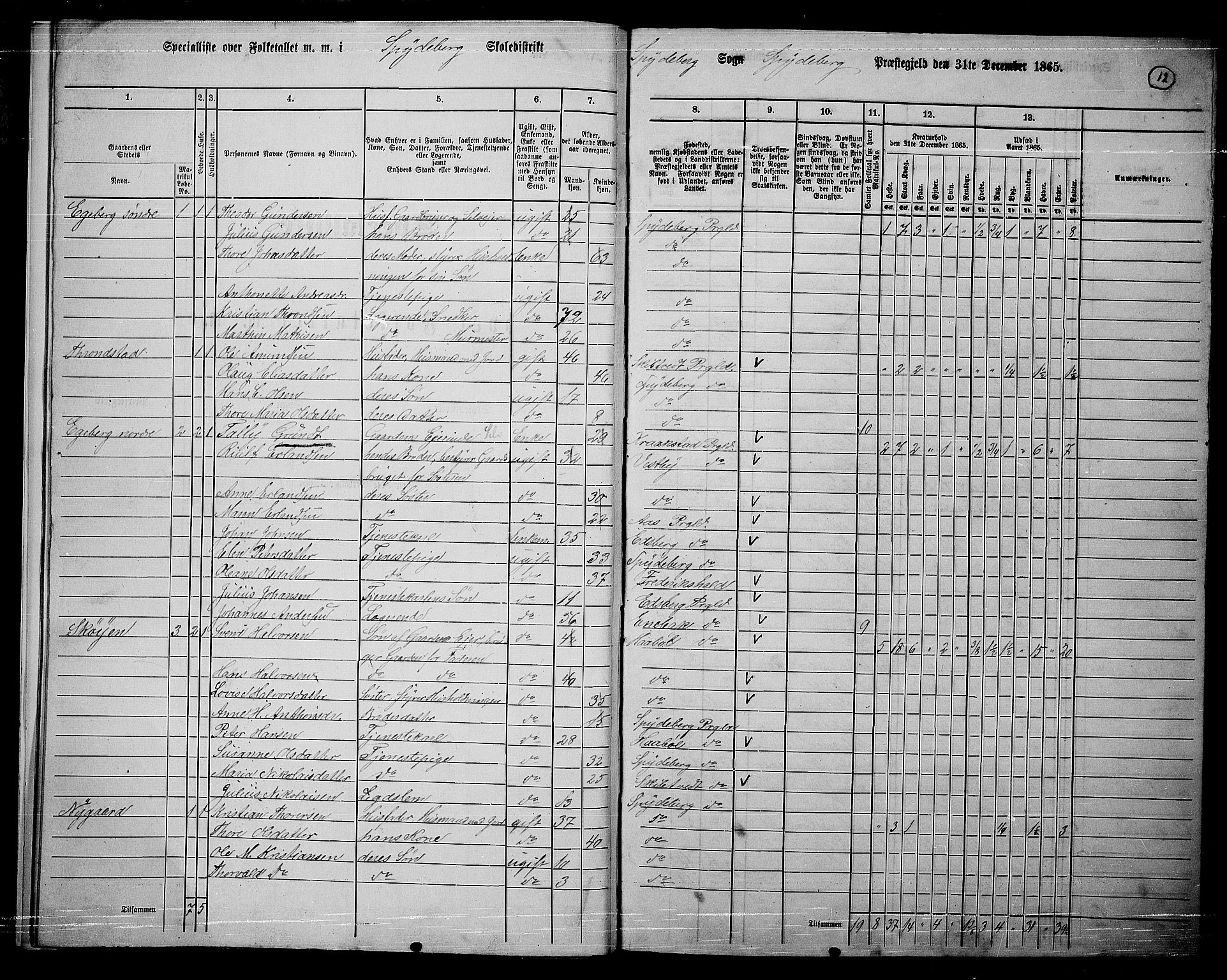 RA, 1865 census for Spydeberg, 1865, p. 11