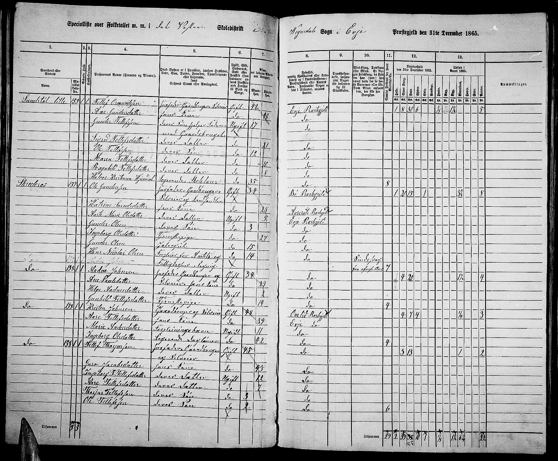 RA, 1865 census for Evje, 1865, p. 64