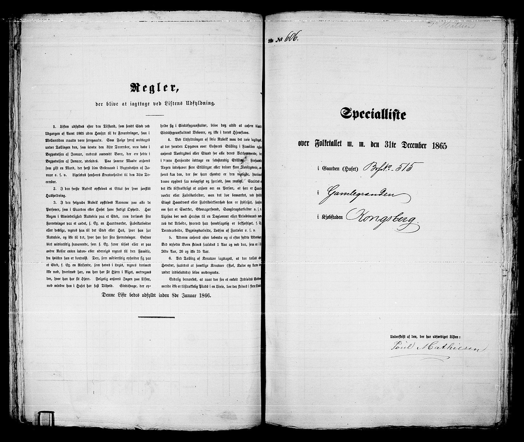 RA, 1865 census for Kongsberg/Kongsberg, 1865, p. 1234