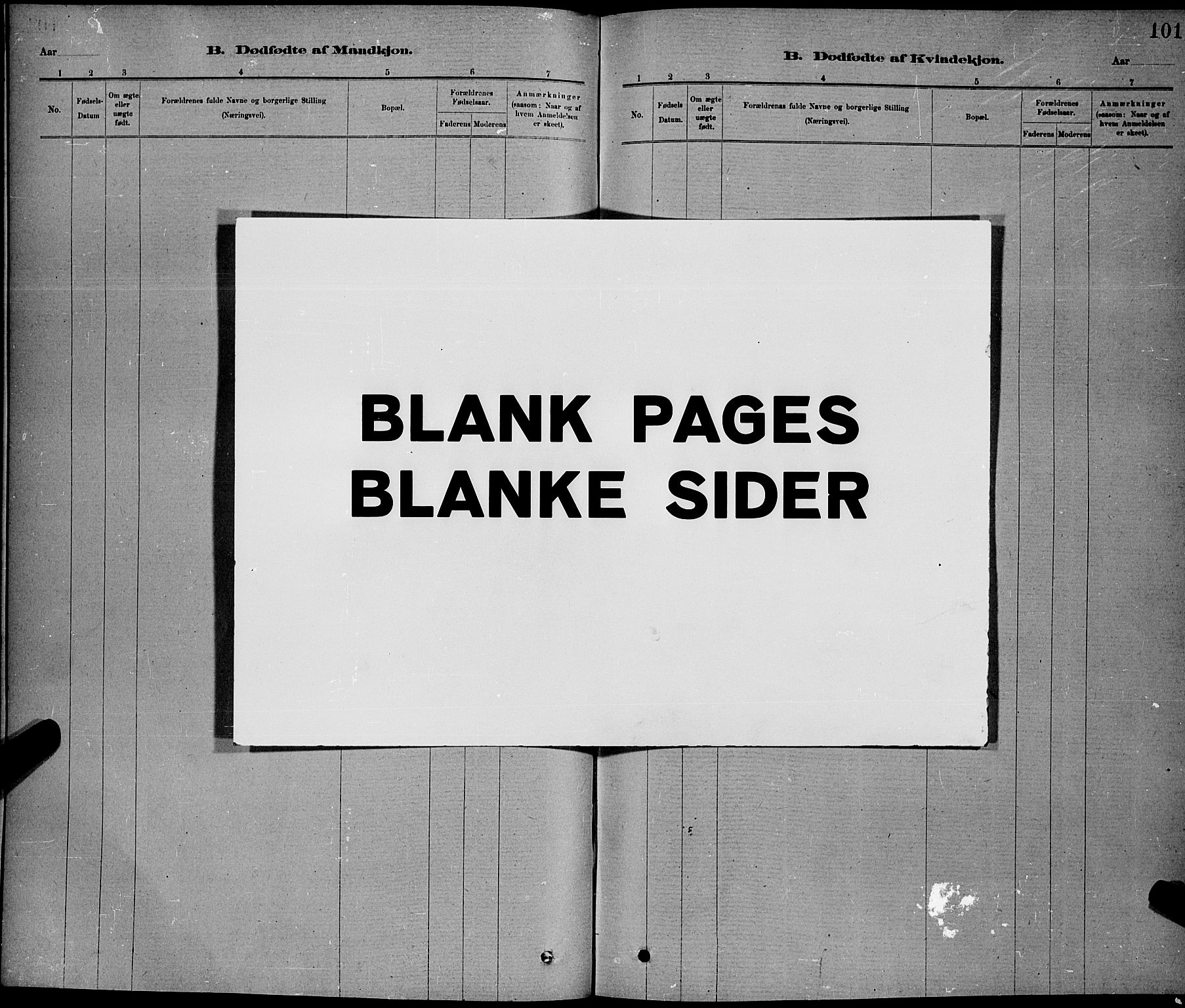 Ministerialprotokoller, klokkerbøker og fødselsregistre - Nord-Trøndelag, AV/SAT-A-1458/730/L0301: Parish register (copy) no. 730C04, 1880-1897, p. 101