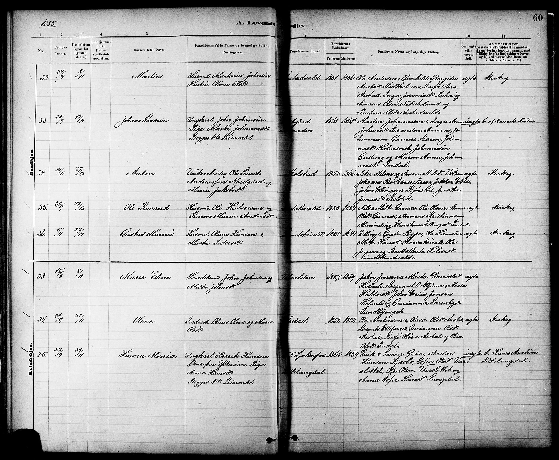 Ministerialprotokoller, klokkerbøker og fødselsregistre - Nord-Trøndelag, SAT/A-1458/724/L0267: Parish register (copy) no. 724C03, 1879-1898, p. 60