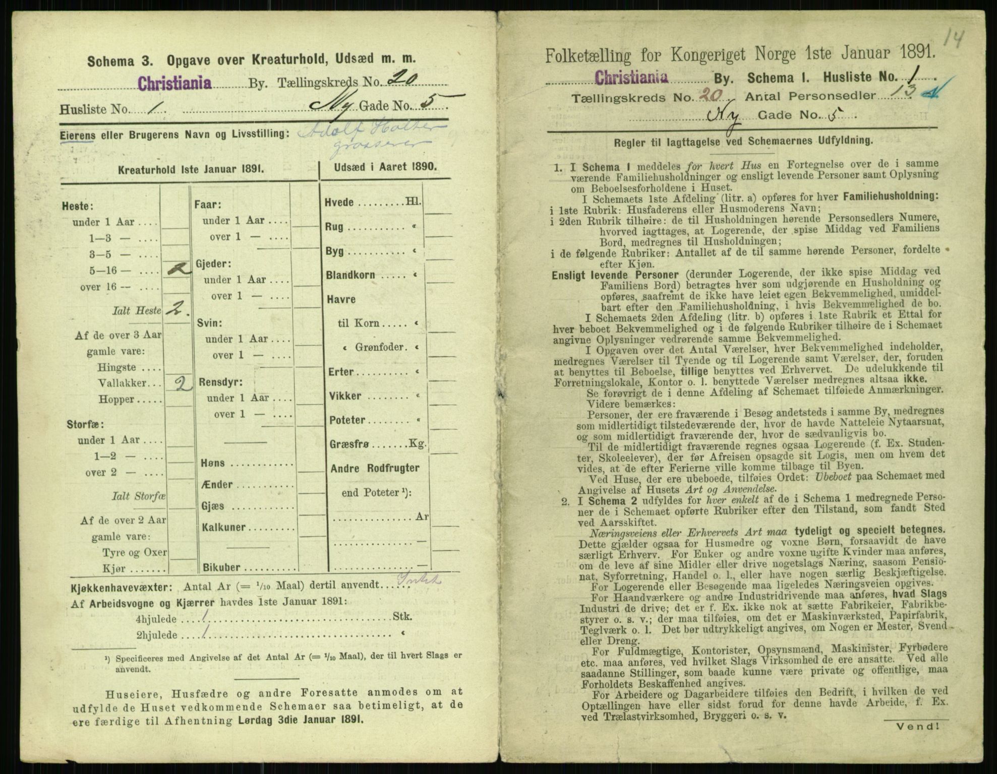 RA, 1891 census for 0301 Kristiania, 1891, p. 9796