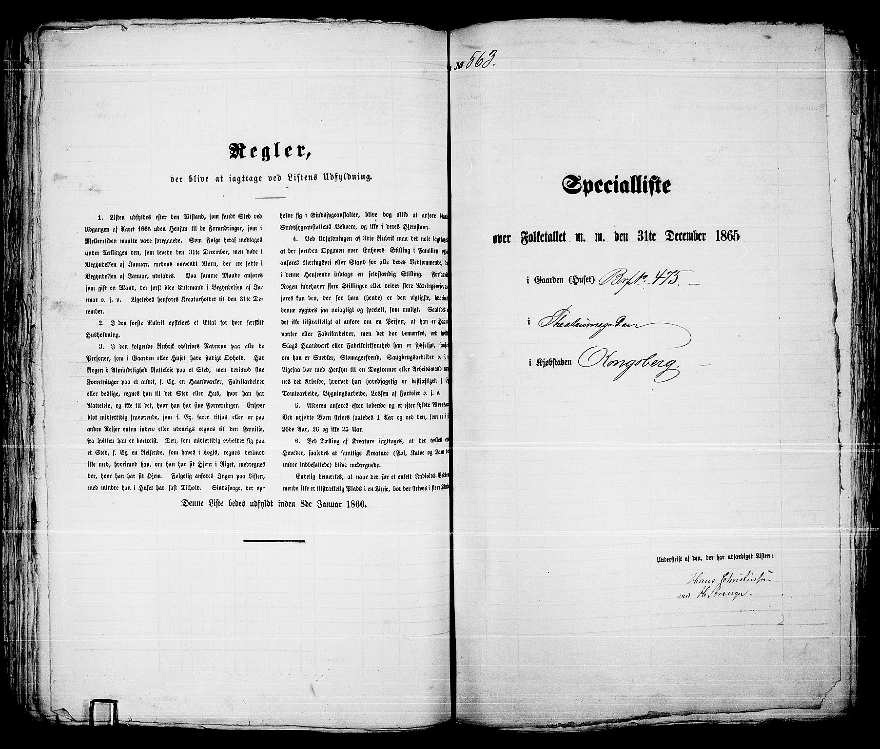 RA, 1865 census for Kongsberg/Kongsberg, 1865, p. 1138