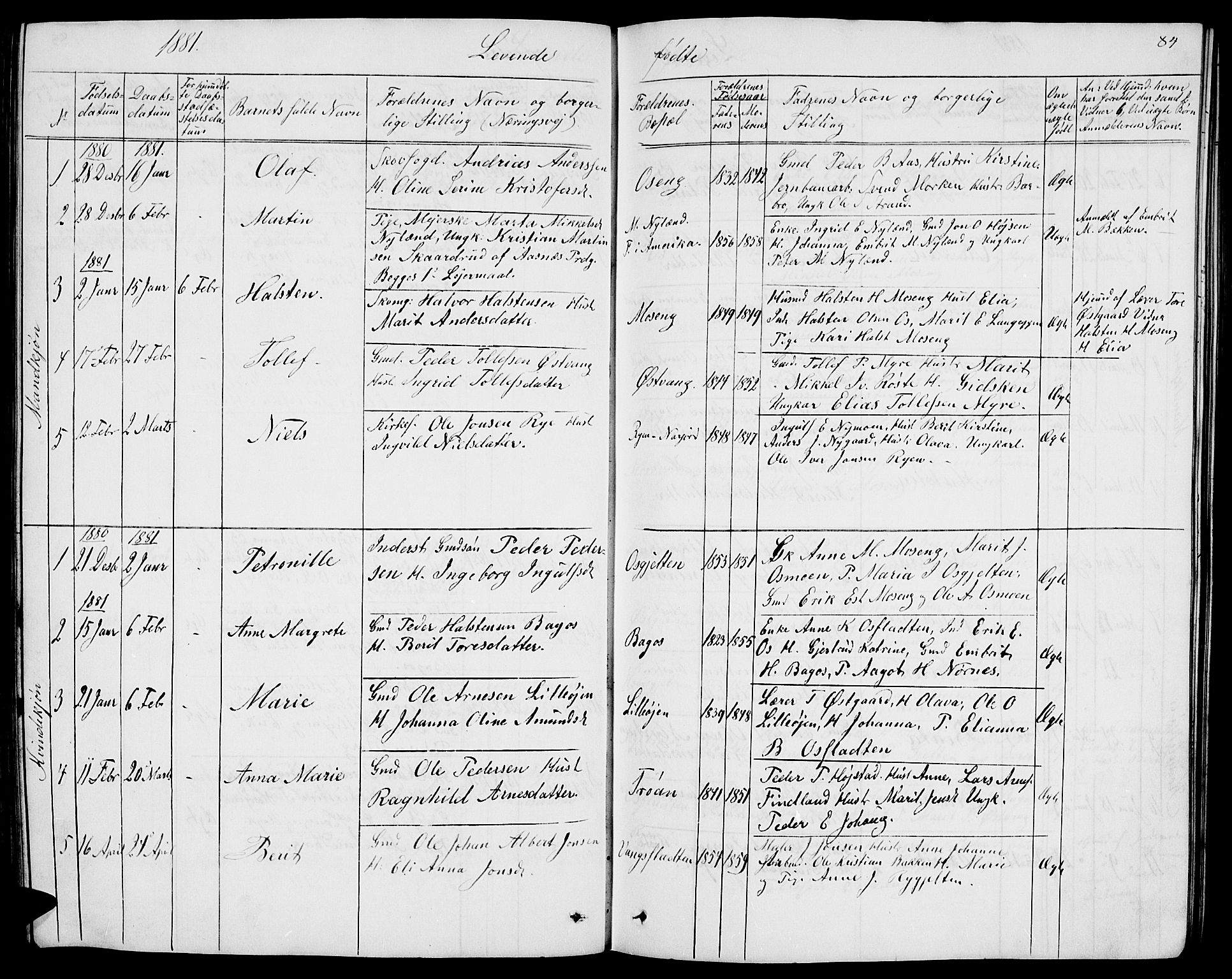 Tolga prestekontor, AV/SAH-PREST-062/L/L0004: Parish register (copy) no. 4, 1845-1887, p. 84