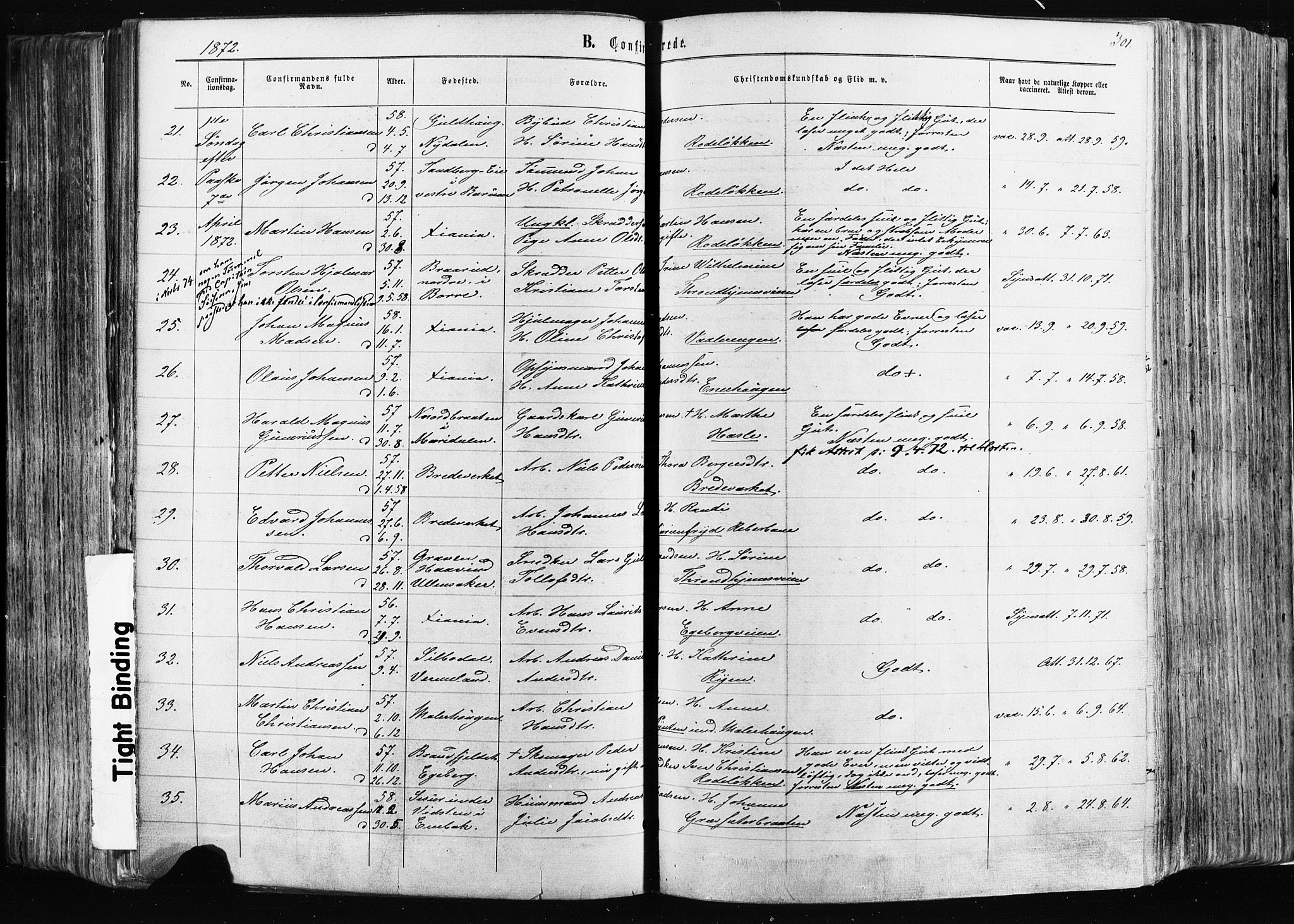 Østre Aker prestekontor Kirkebøker, AV/SAO-A-10840/F/Fa/L0003: Parish register (official) no. I 3, 1869-1875, p. 301